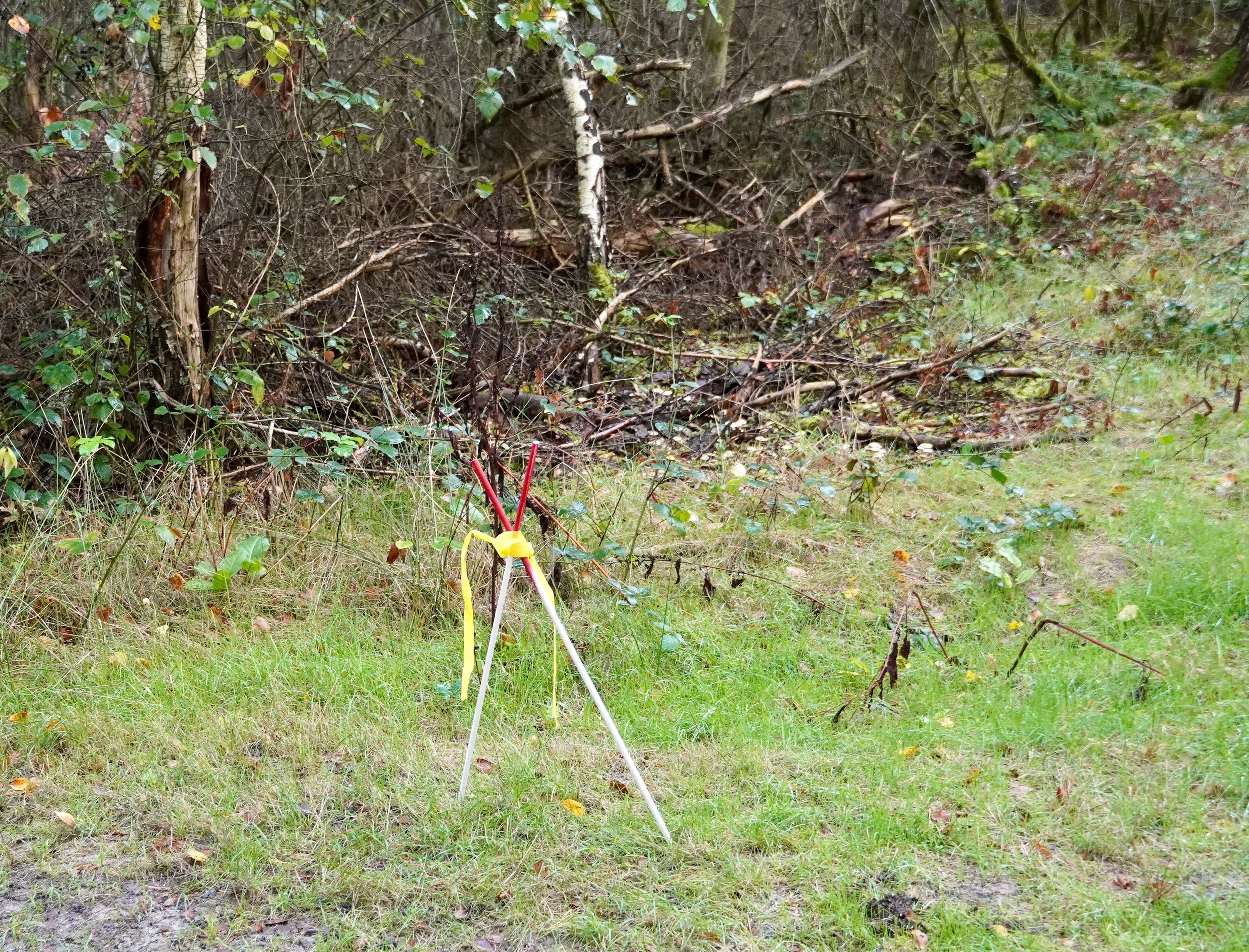 DSC01668.jpeg