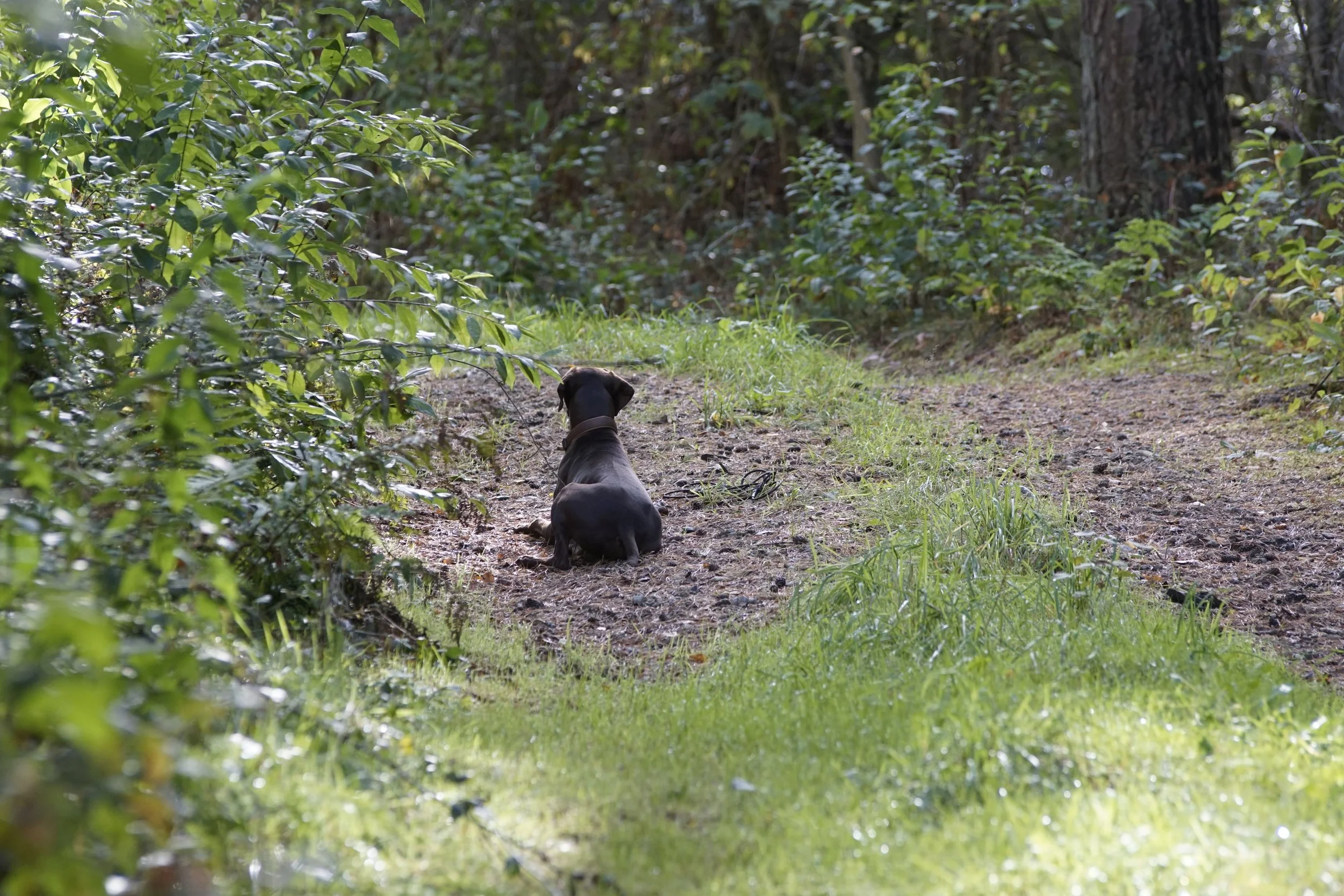 _DSC3009.JPG