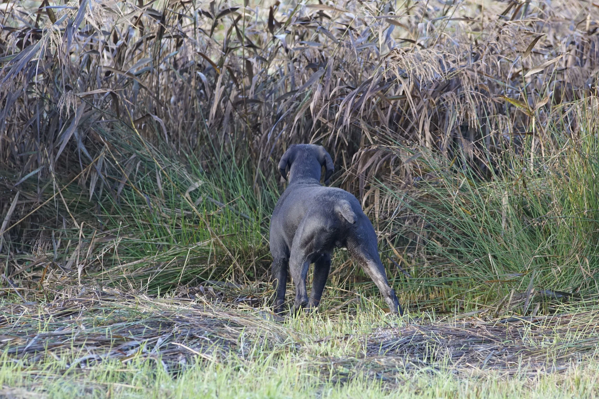 image7ii0576.jpg