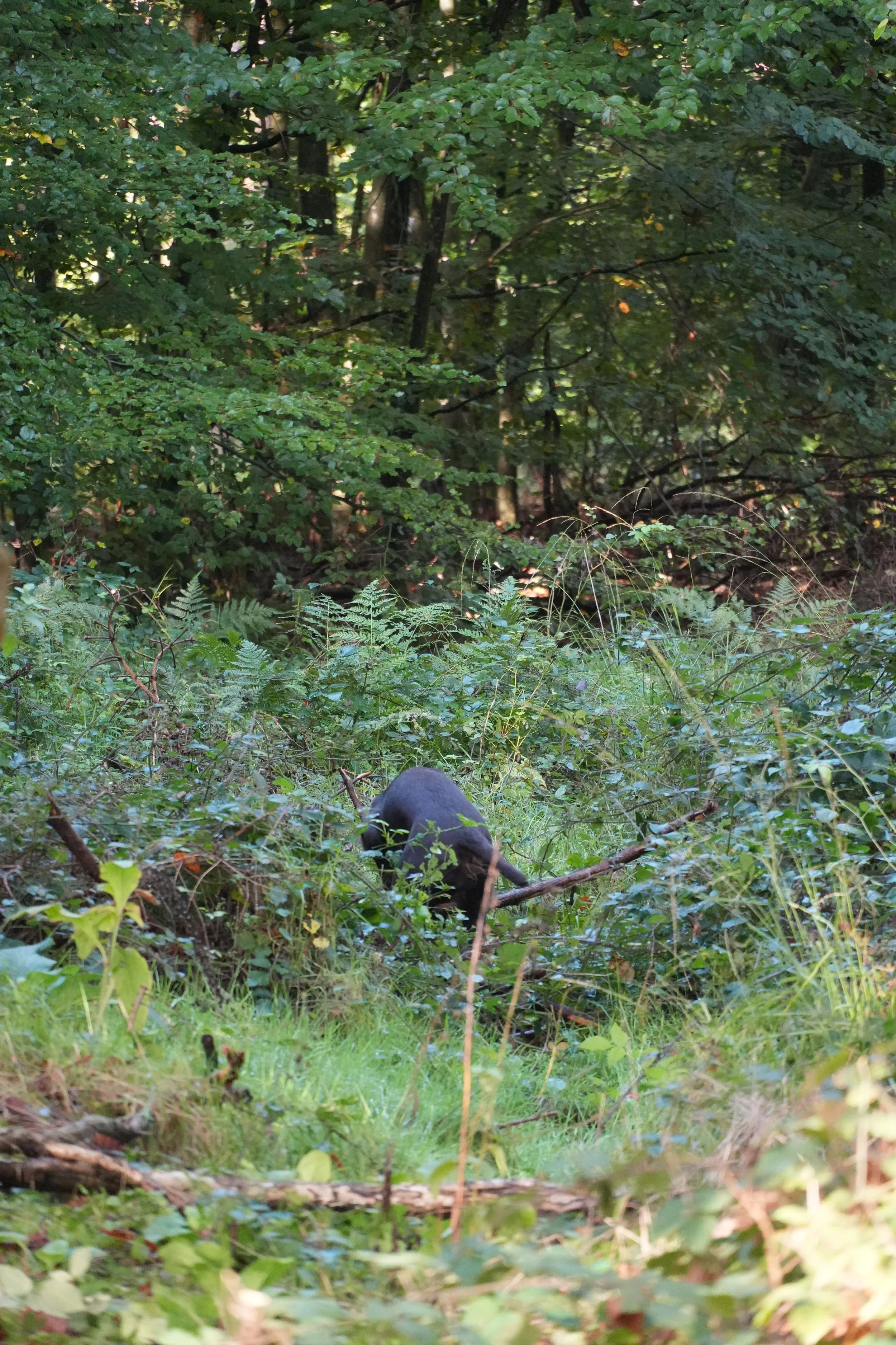 DSC07886.JPG