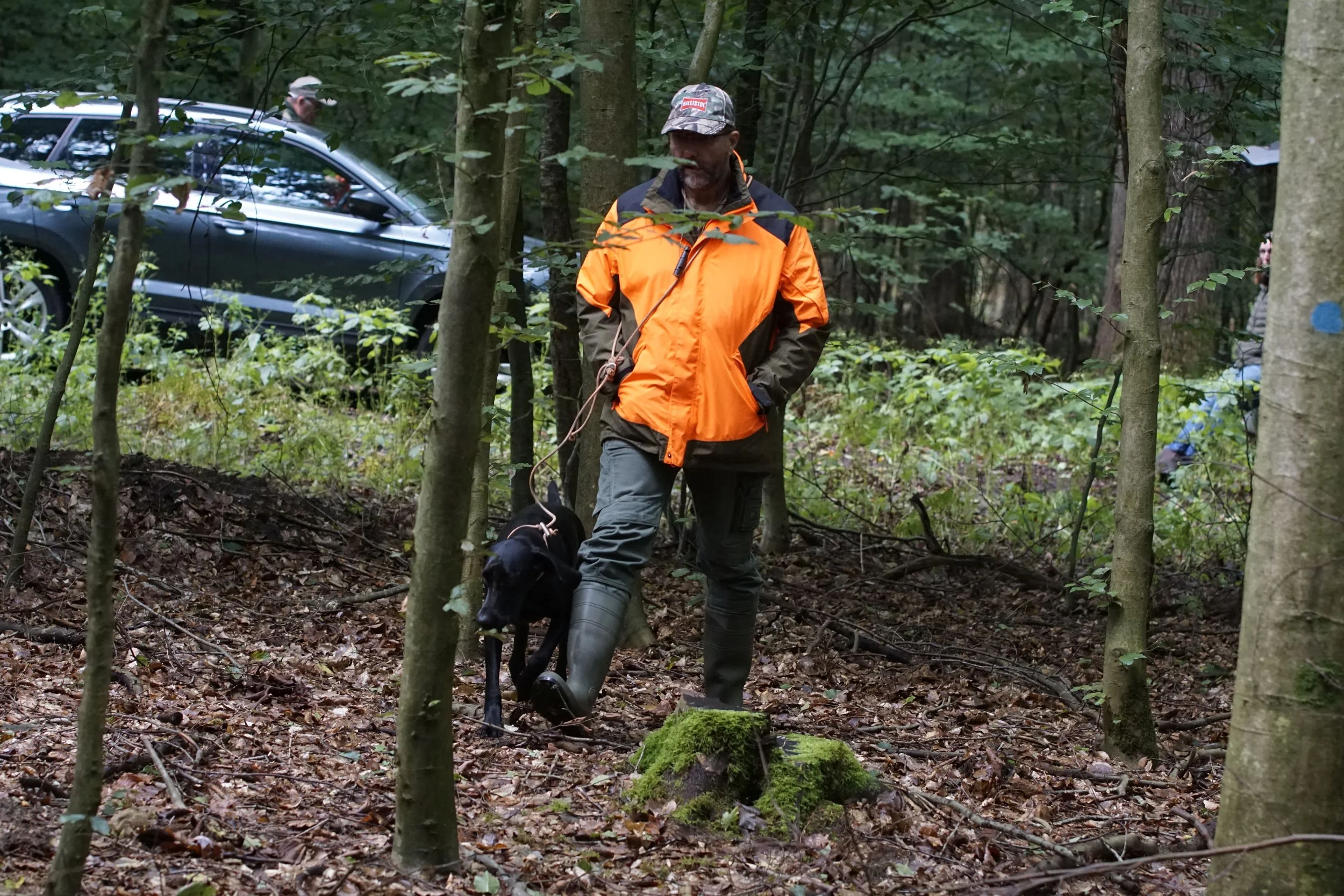 _DSC8446.JPG