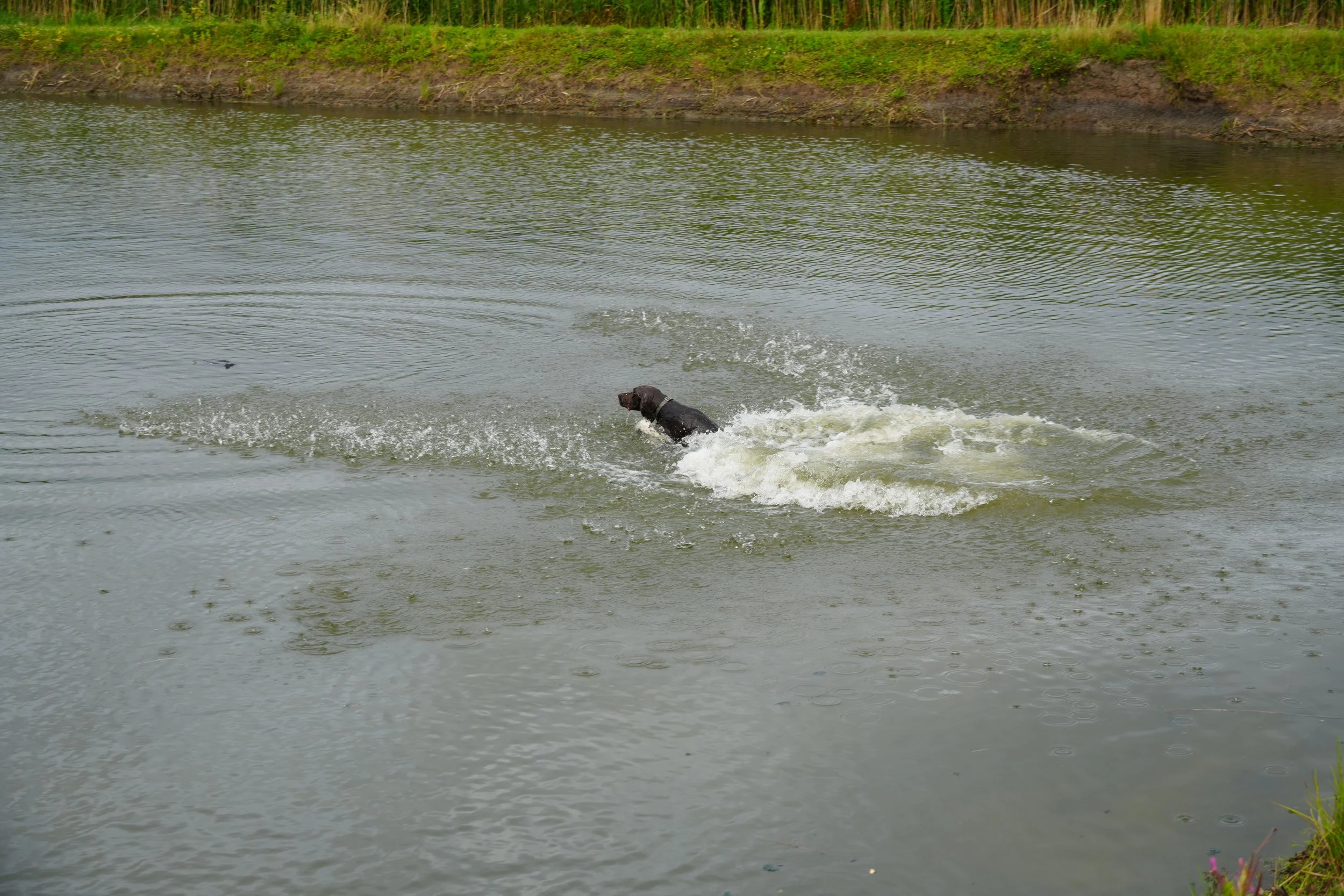DSC08630.JPG