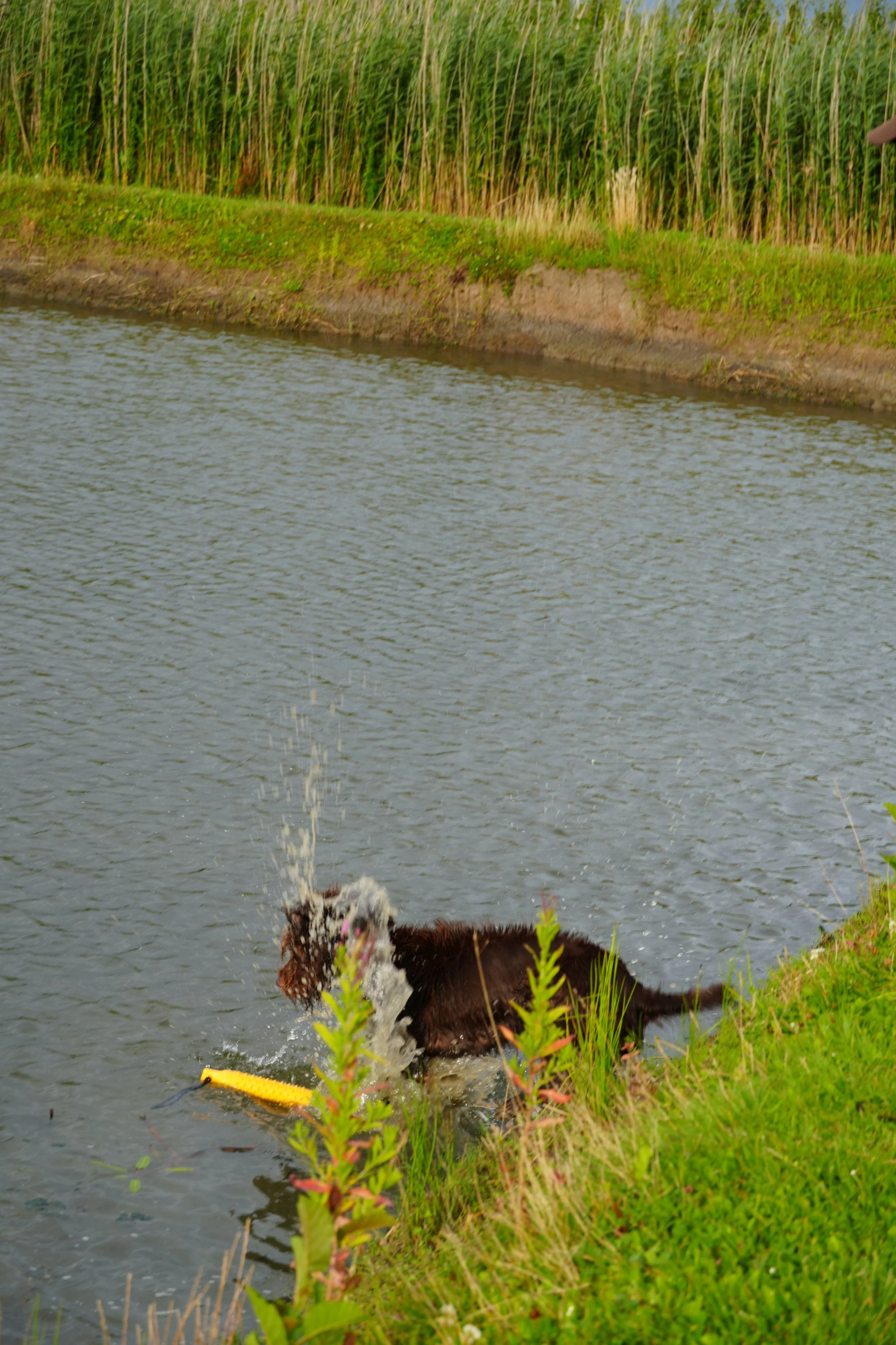 DSC08569.JPG