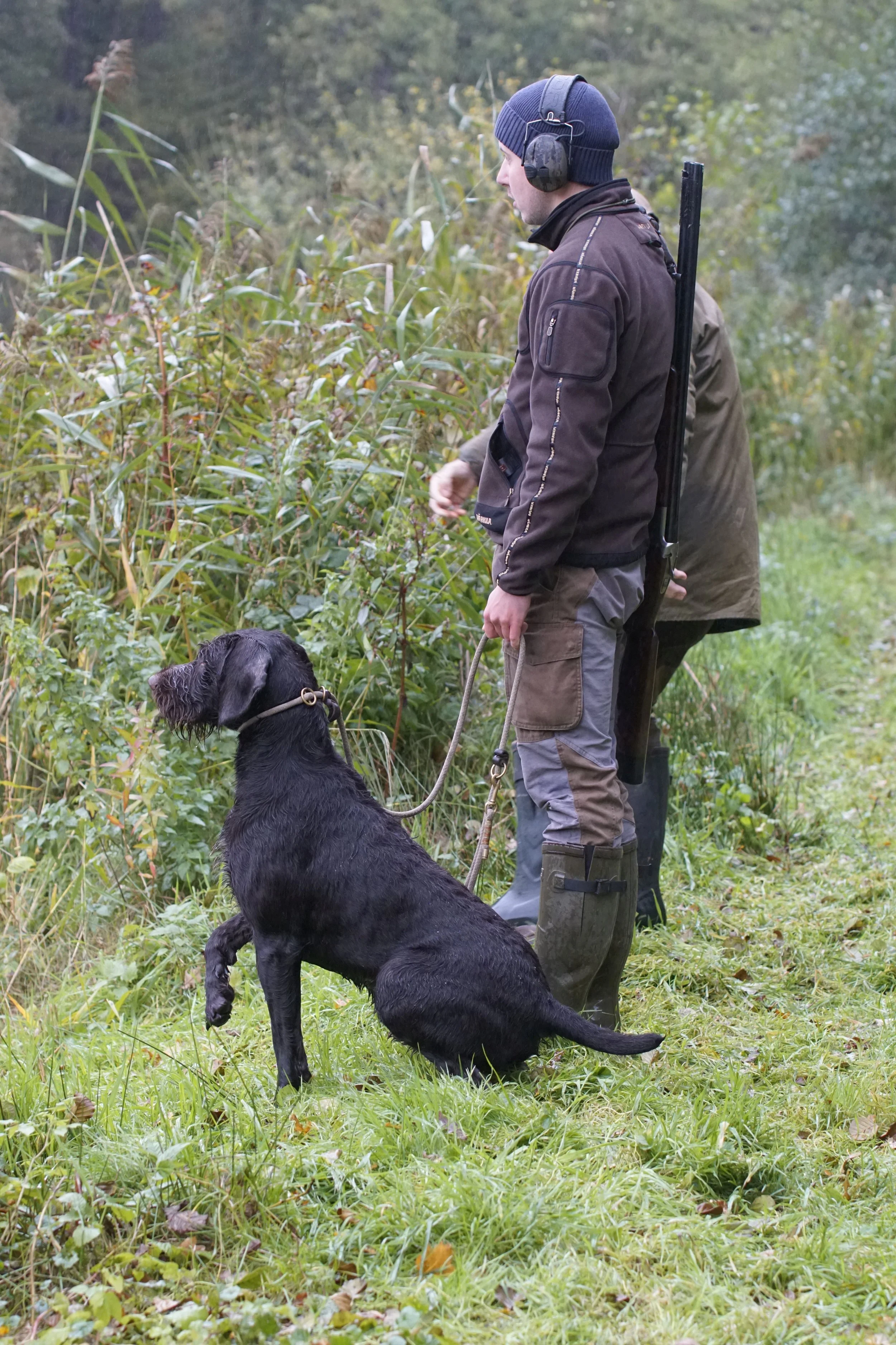 image7ii0090.jpg