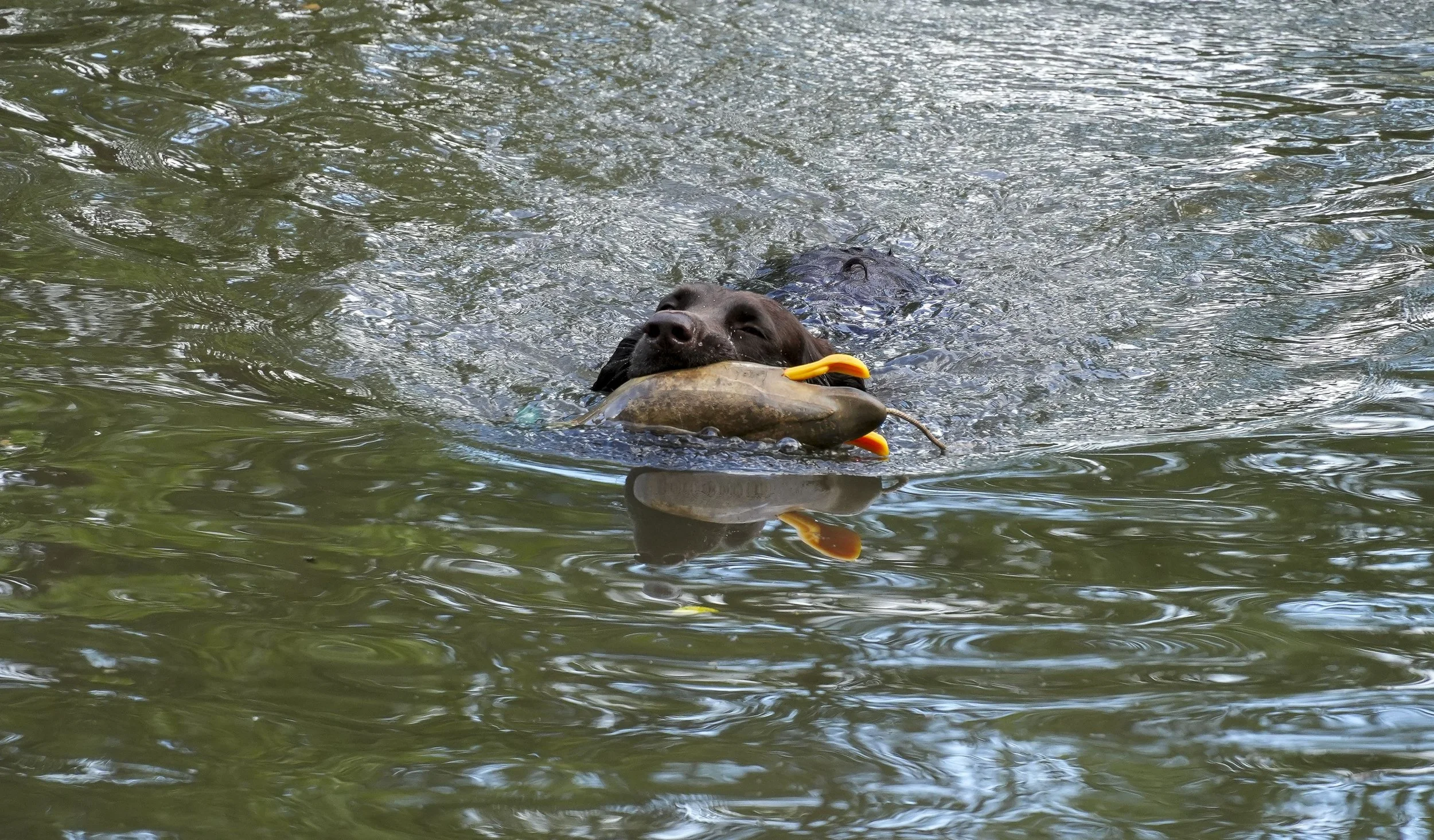 DSC01556.jpg