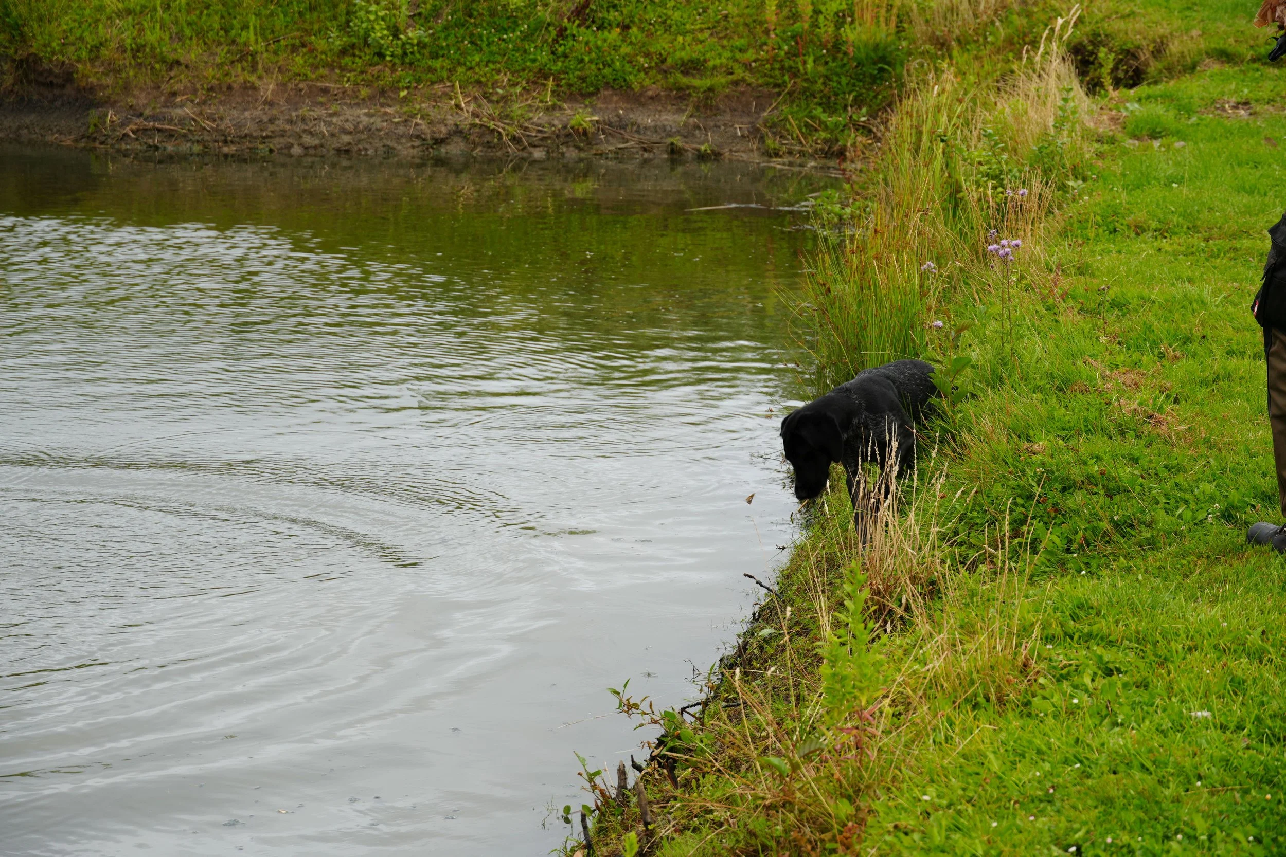 DSC08656.JPG