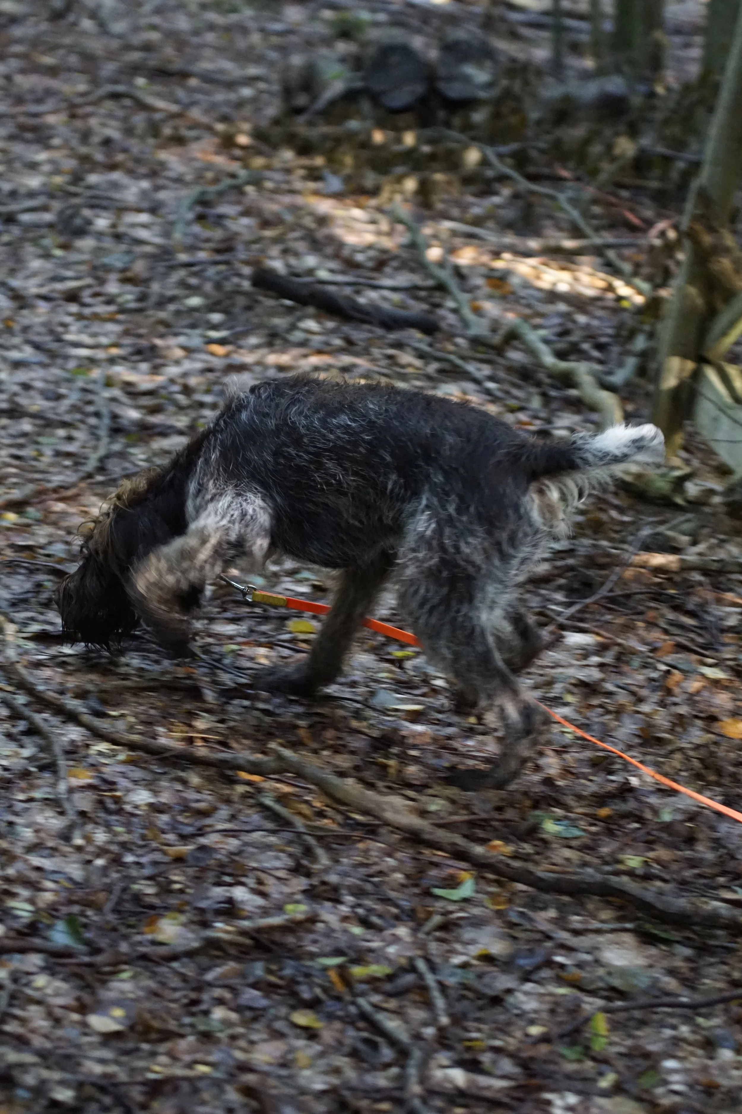 image148.JPG