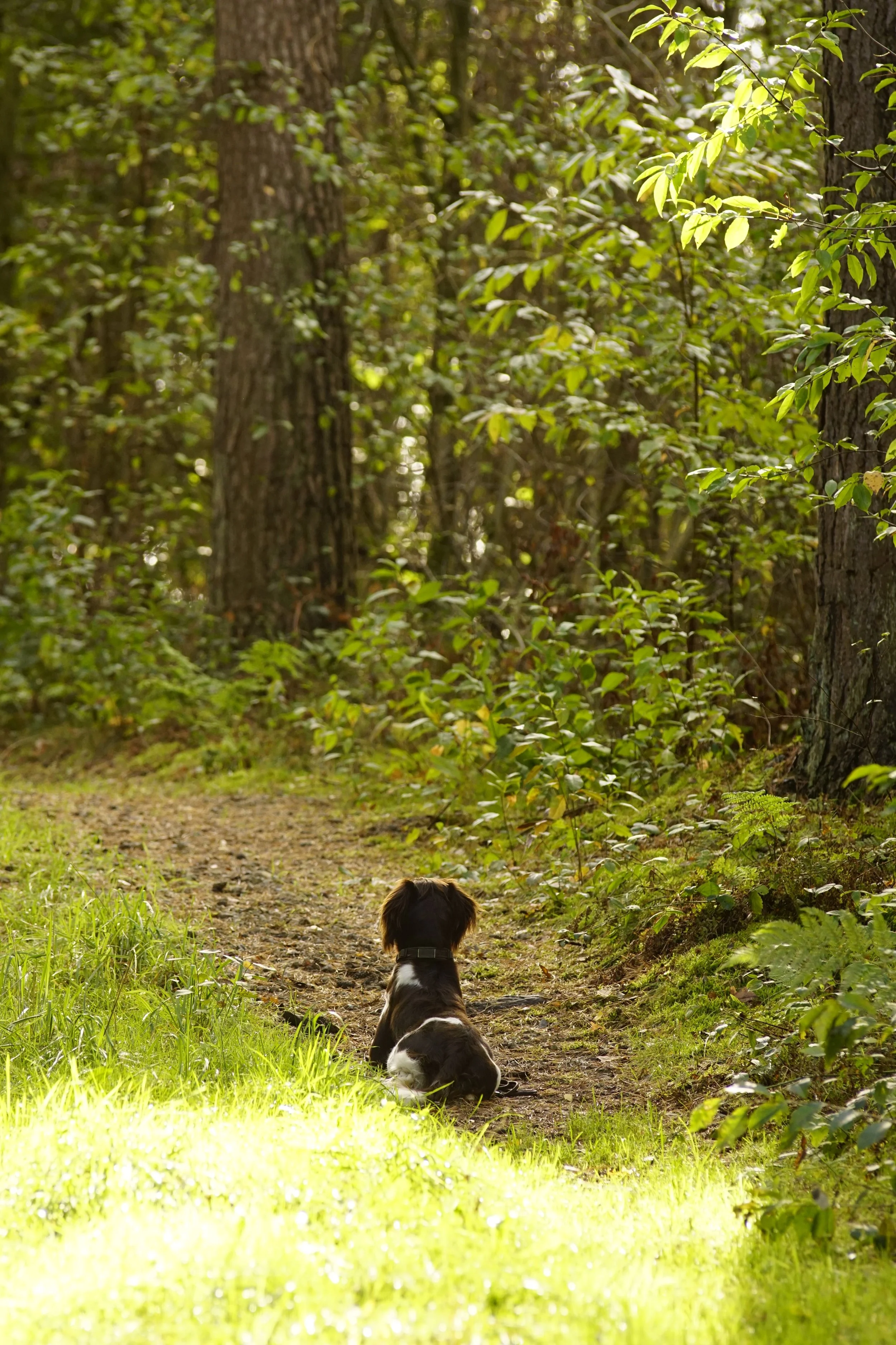 _DSC3062.JPG