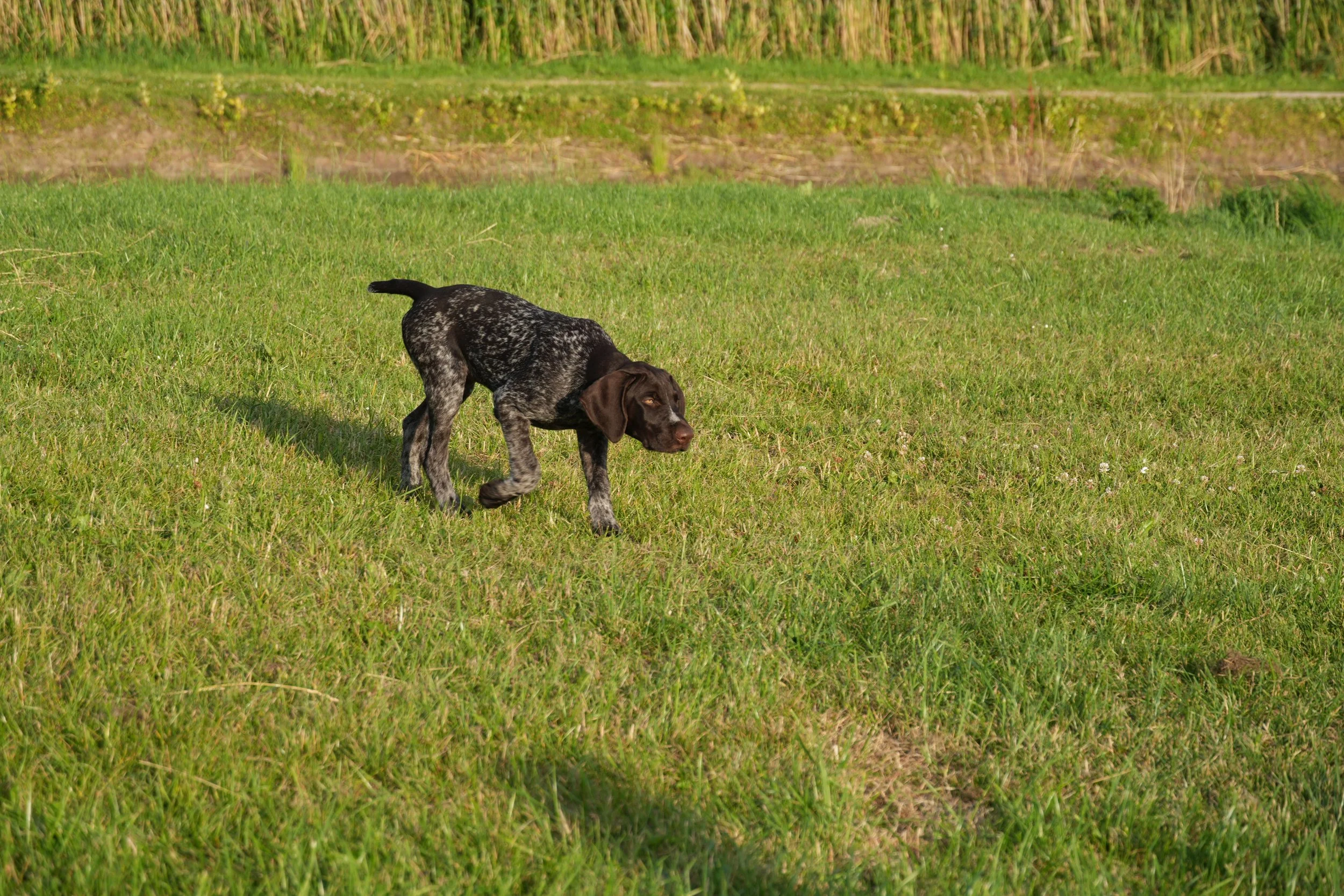 DSC08953.JPG
