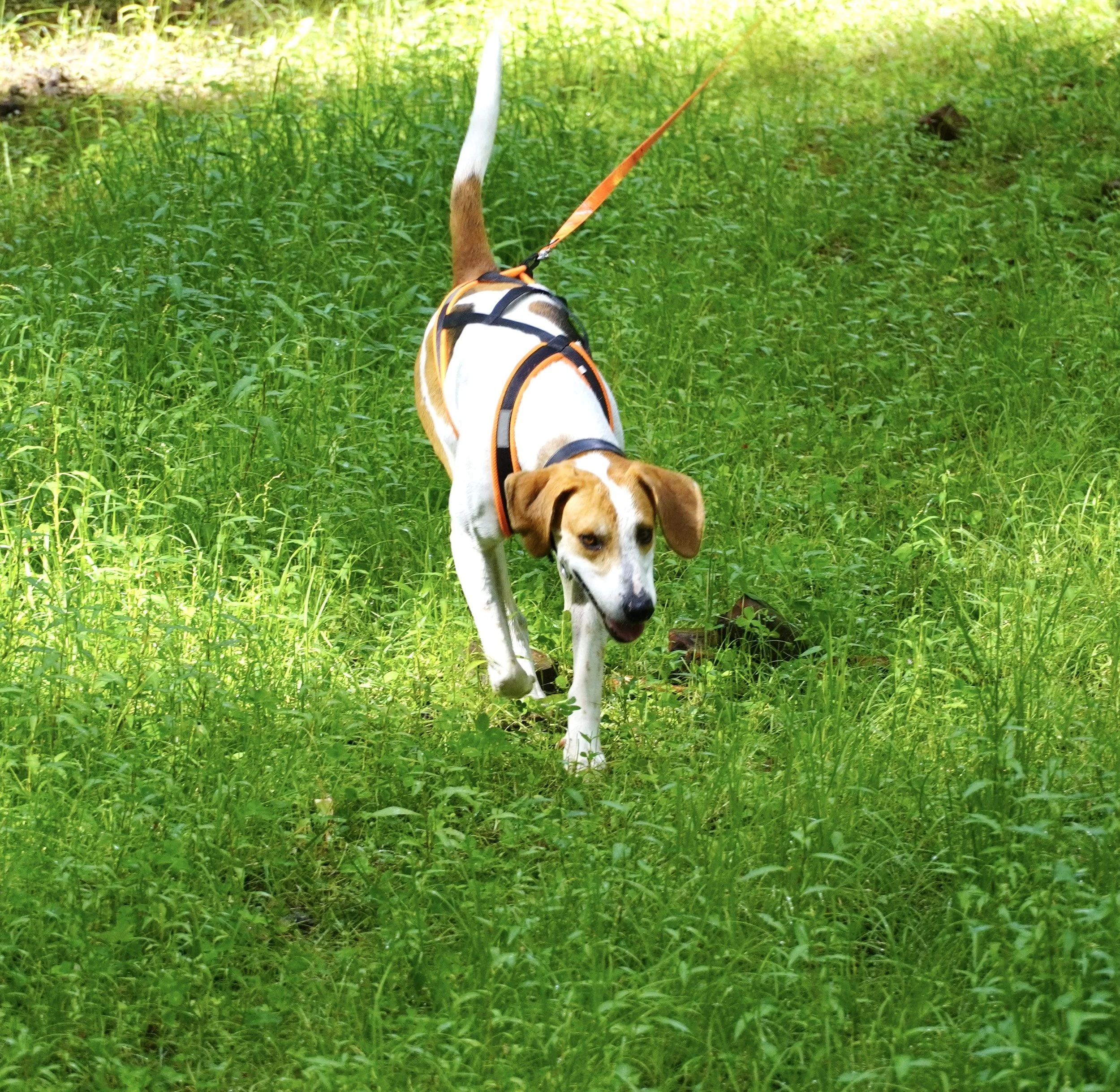 DSC00772.JPG