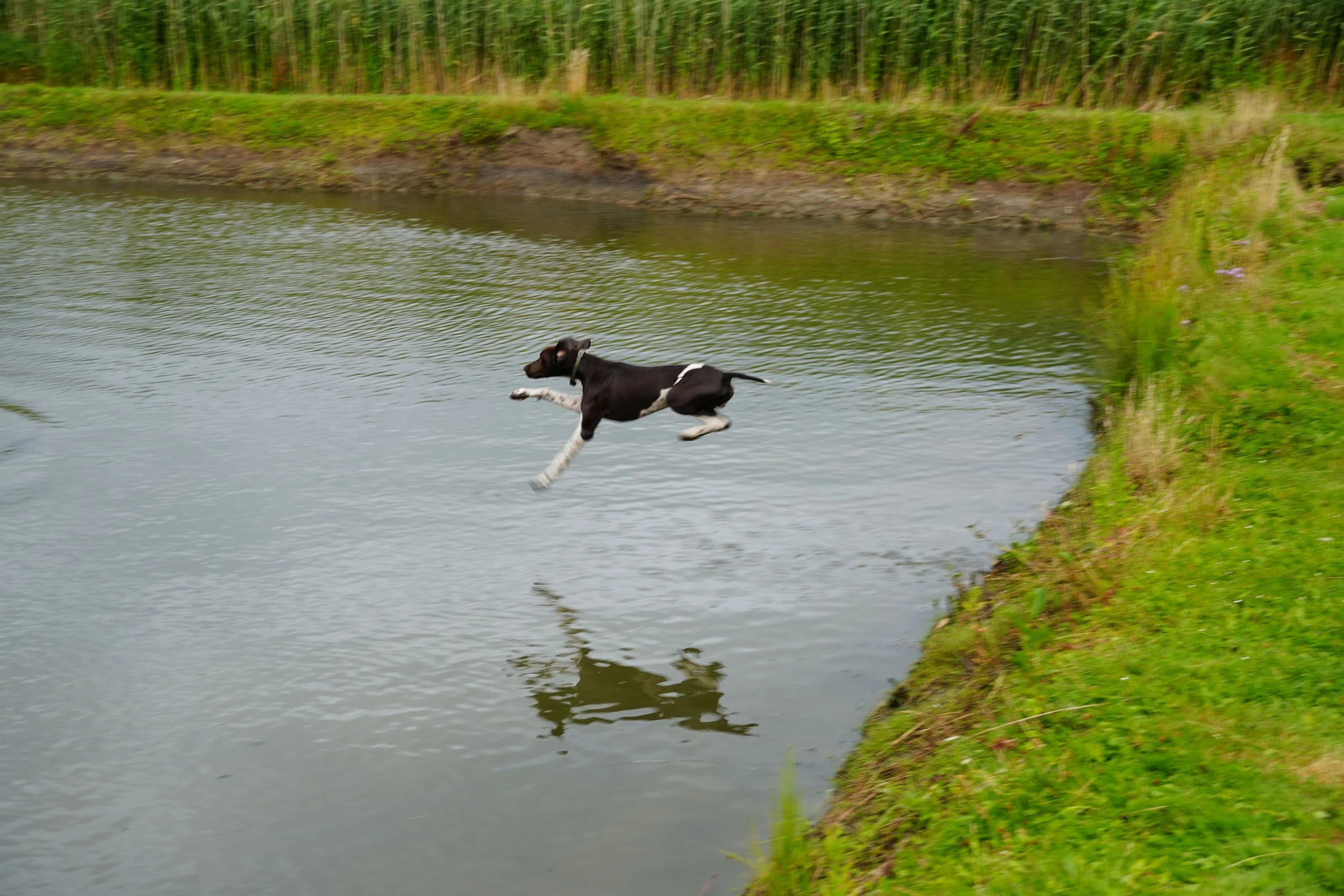 DSC08627.JPG
