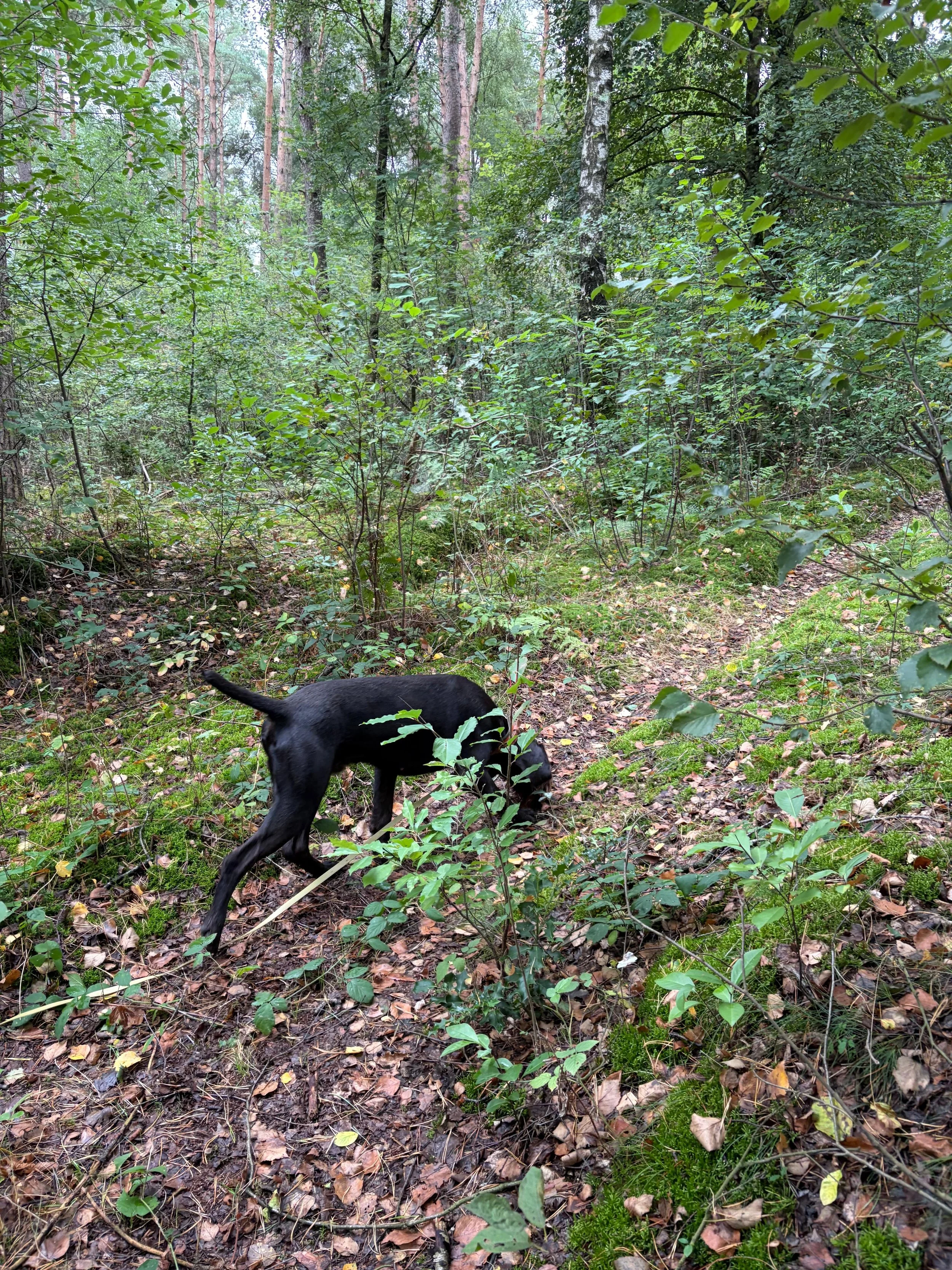 IMG-20260907-WA0009.jpg