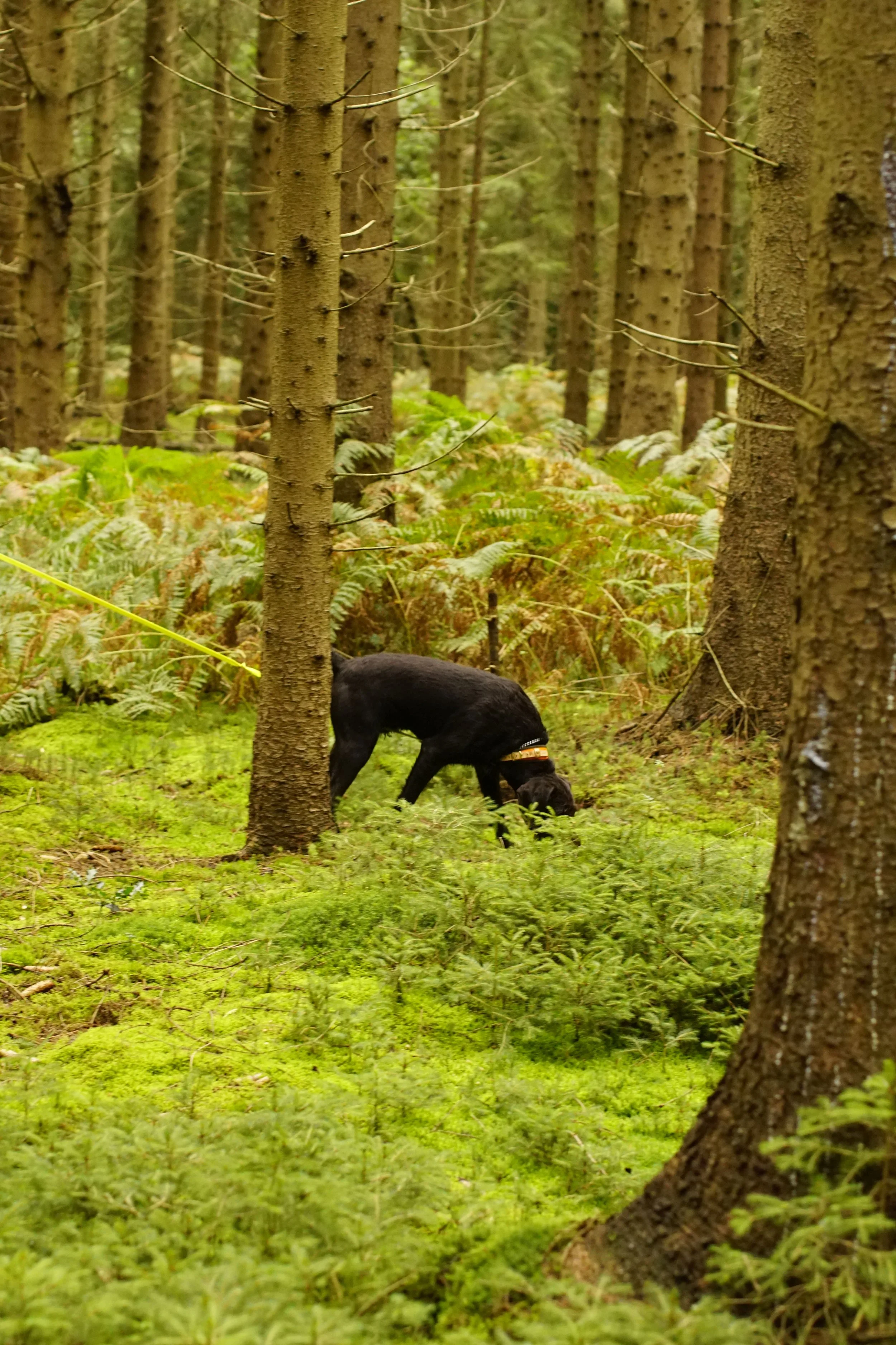 _DSC8332.JPG