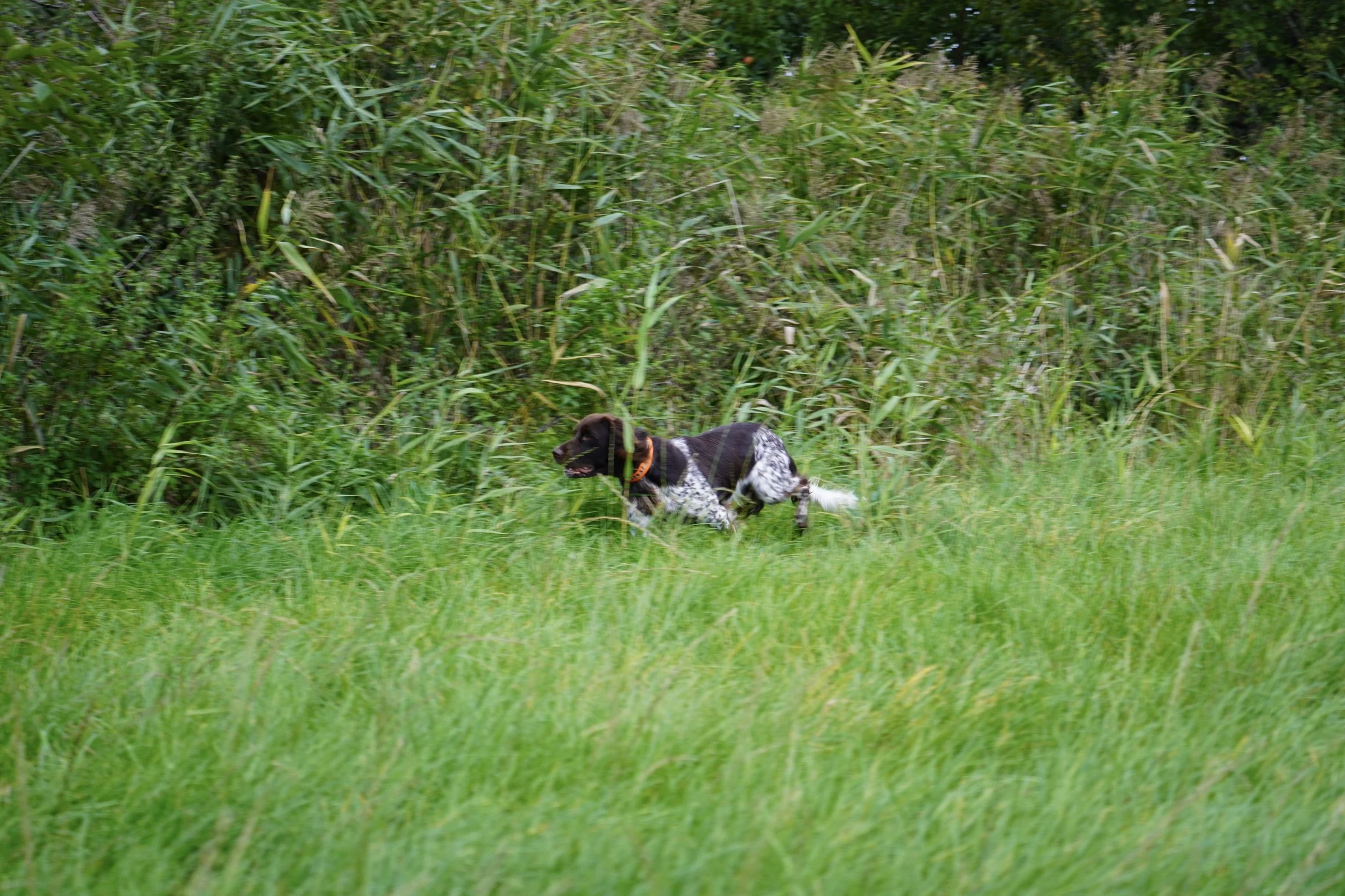 DSC01122.JPG