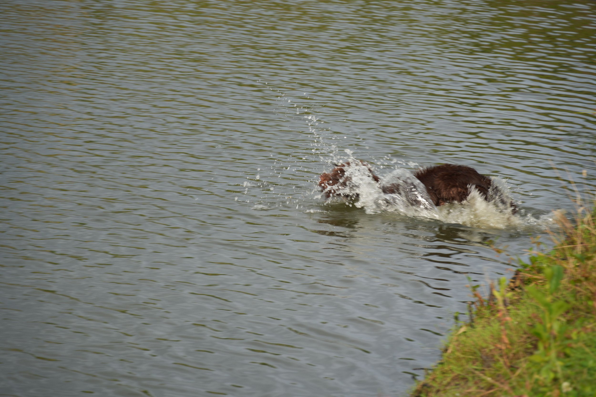 DSC08573.JPG