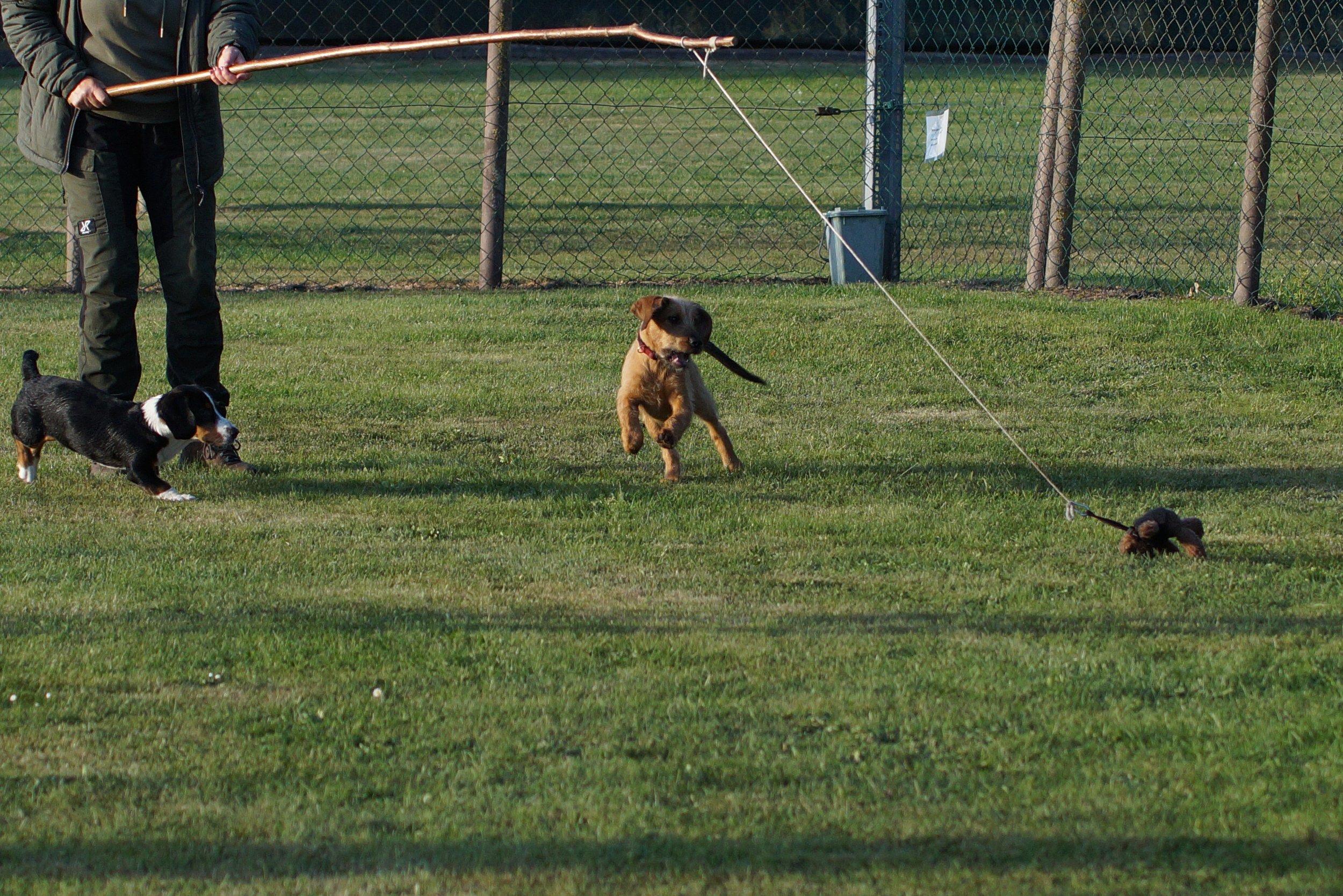 DSC09511.JPG