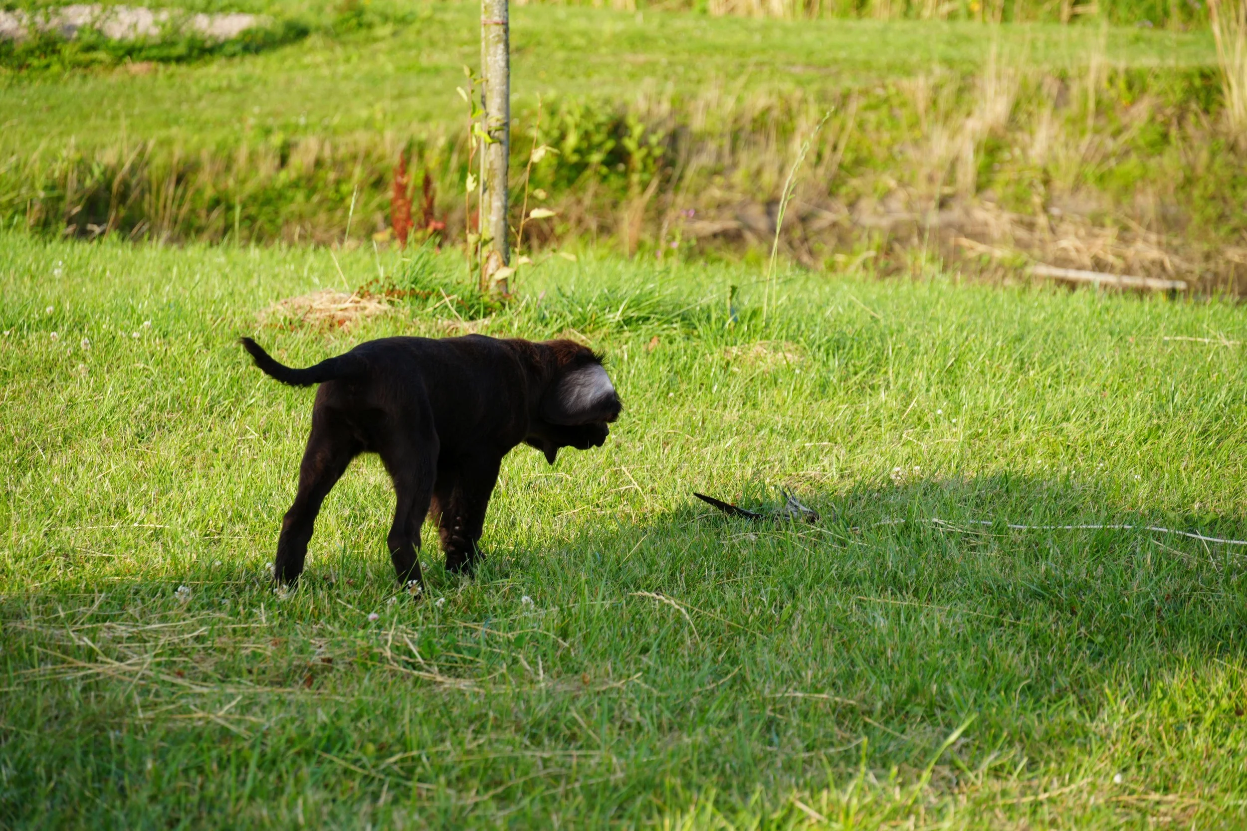 DSC09009.JPG