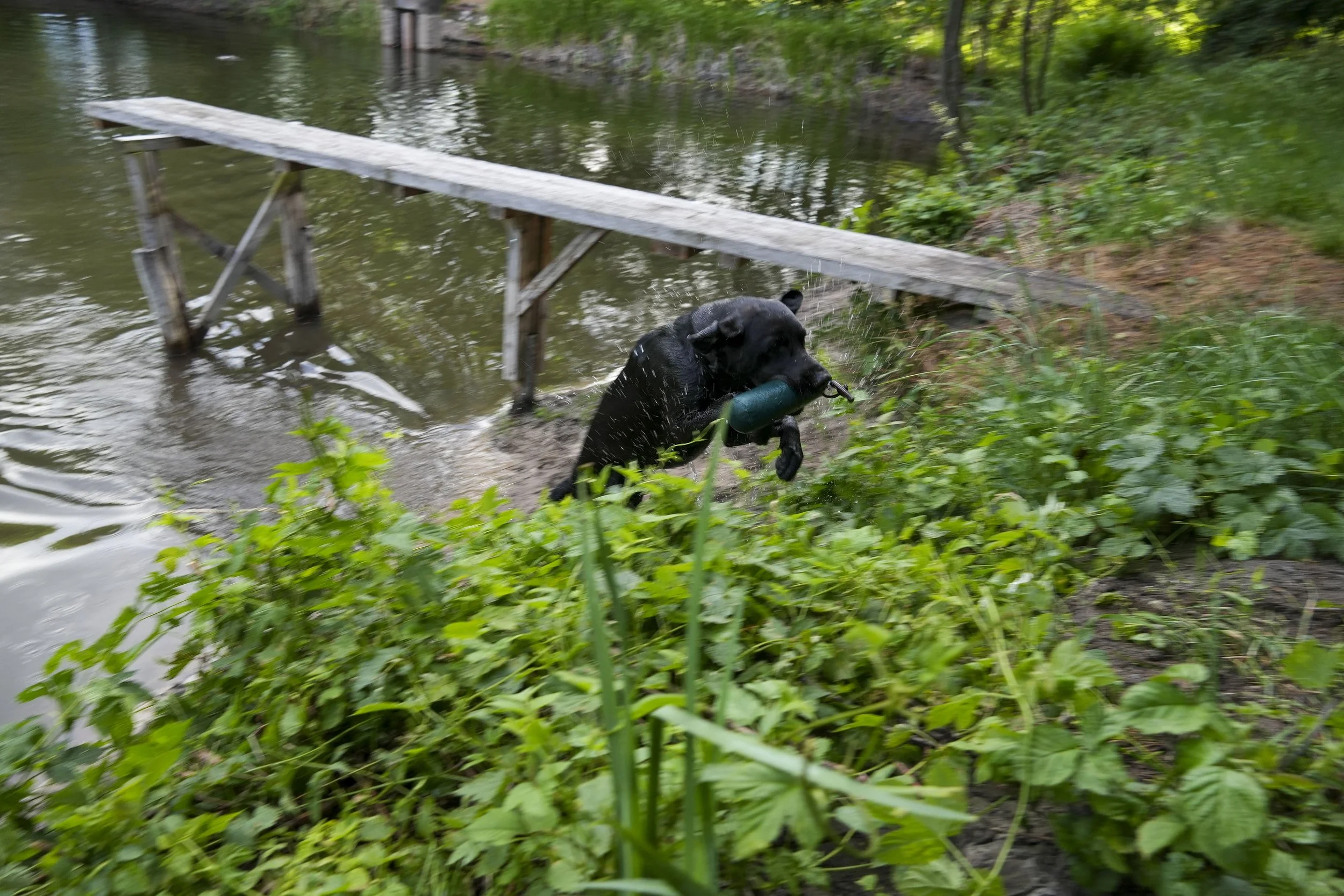 DSC01680.jpg