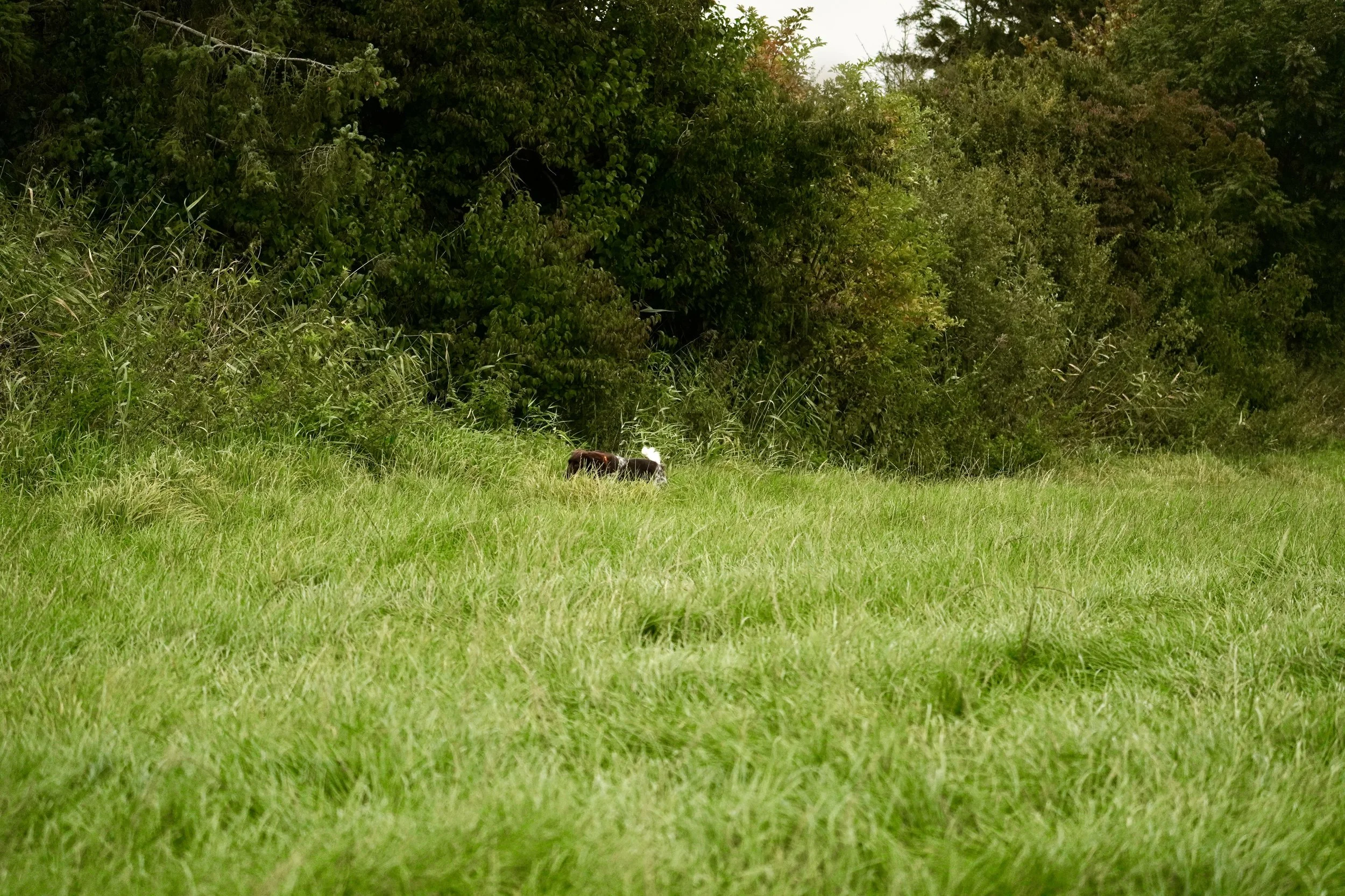 DSC01068.JPG