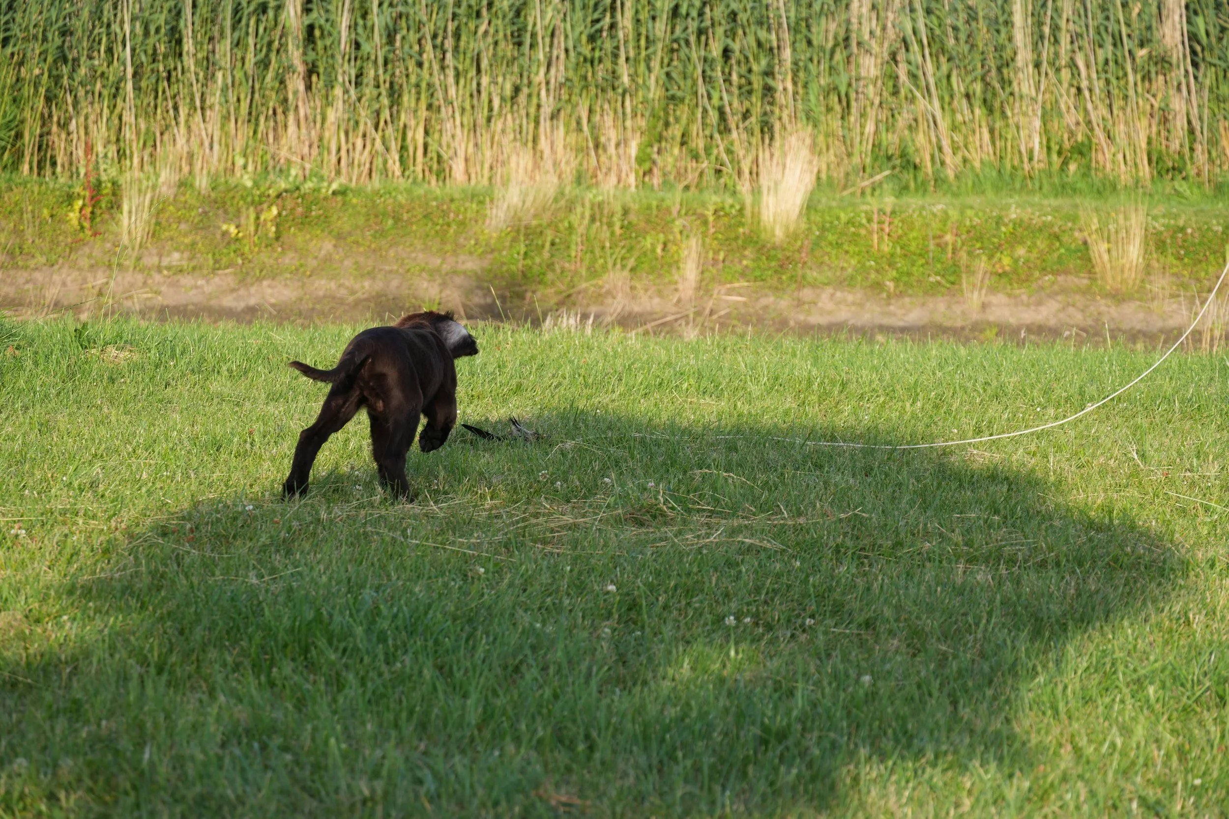 DSC09004.JPG