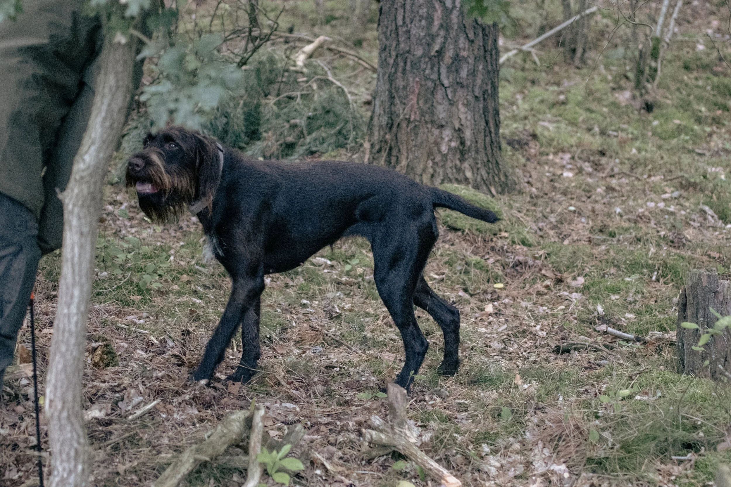 20260911-_DSC8682.jpg