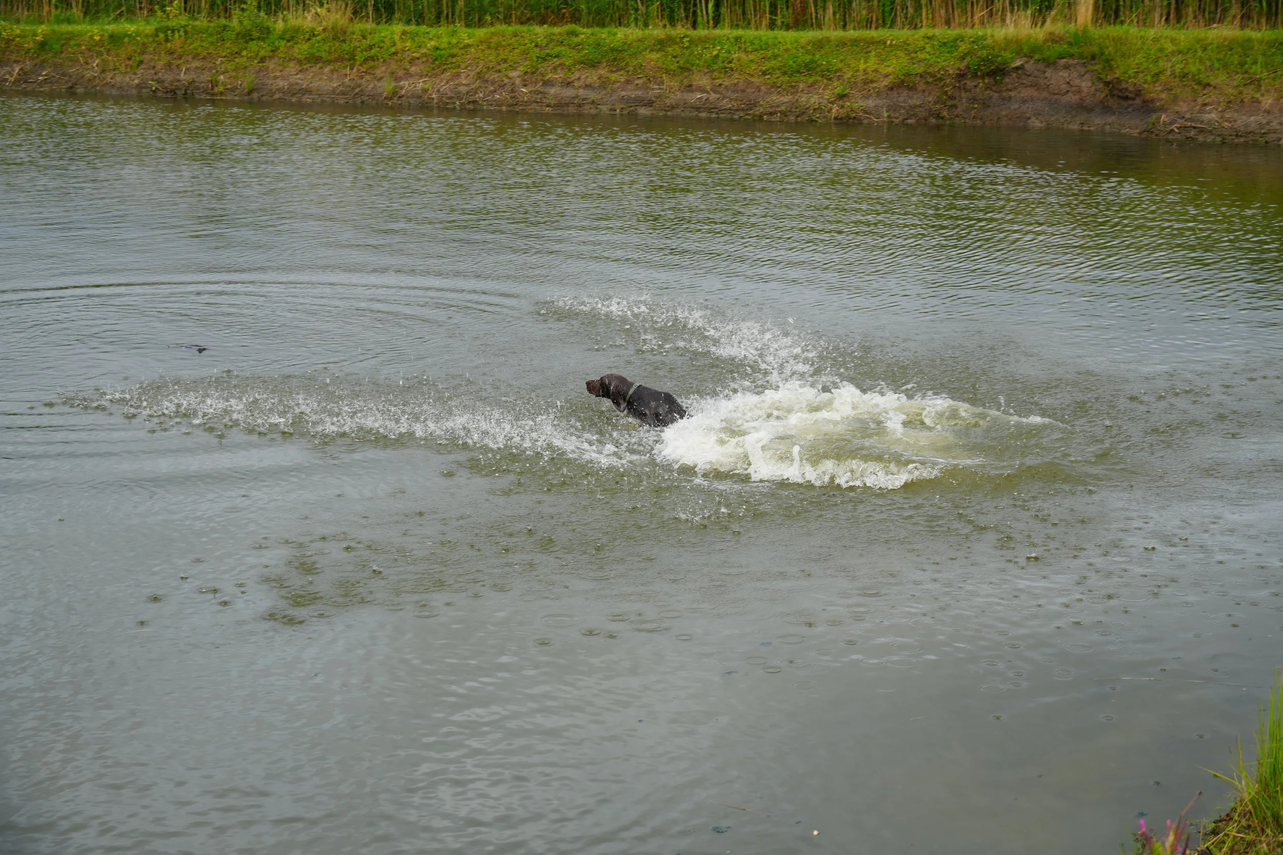 DSC08629.JPG