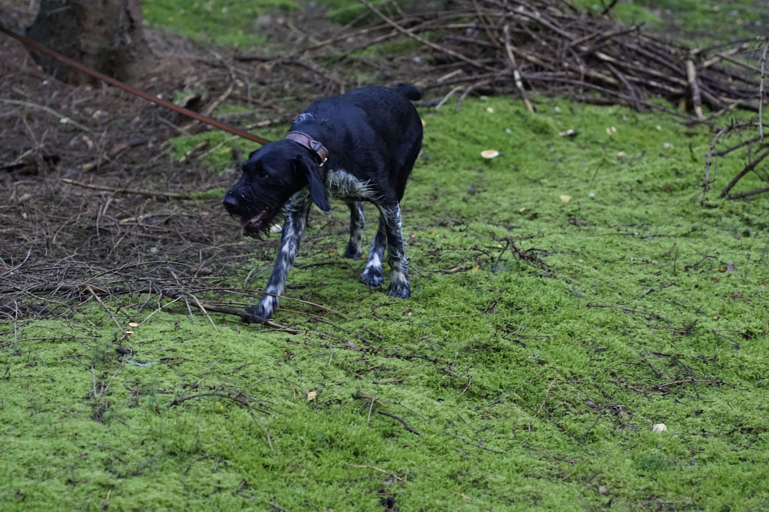 image099.JPG