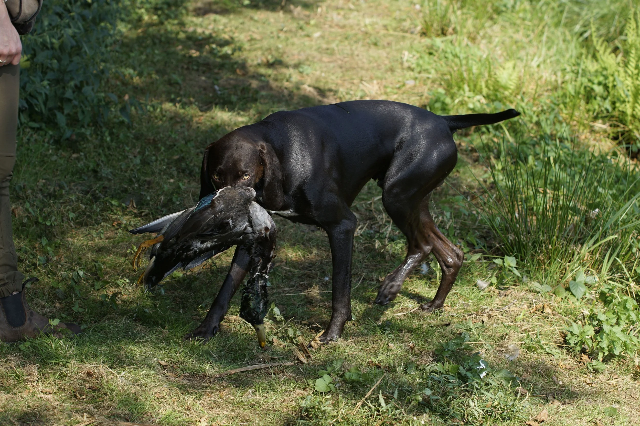 _DSC9345.JPG