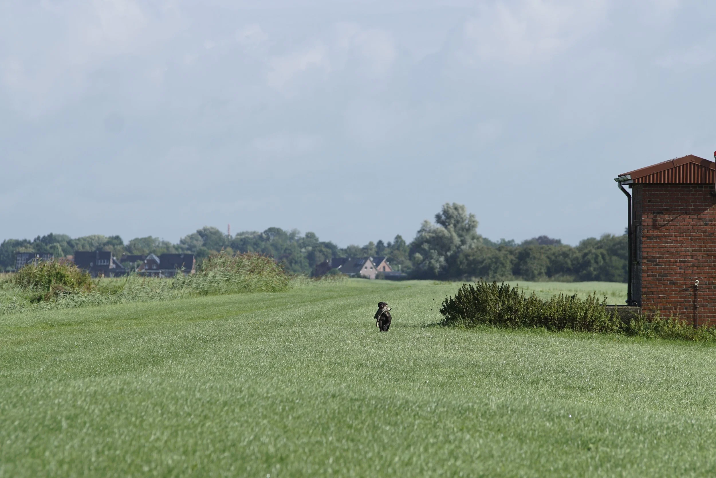 _DSC7687.JPG