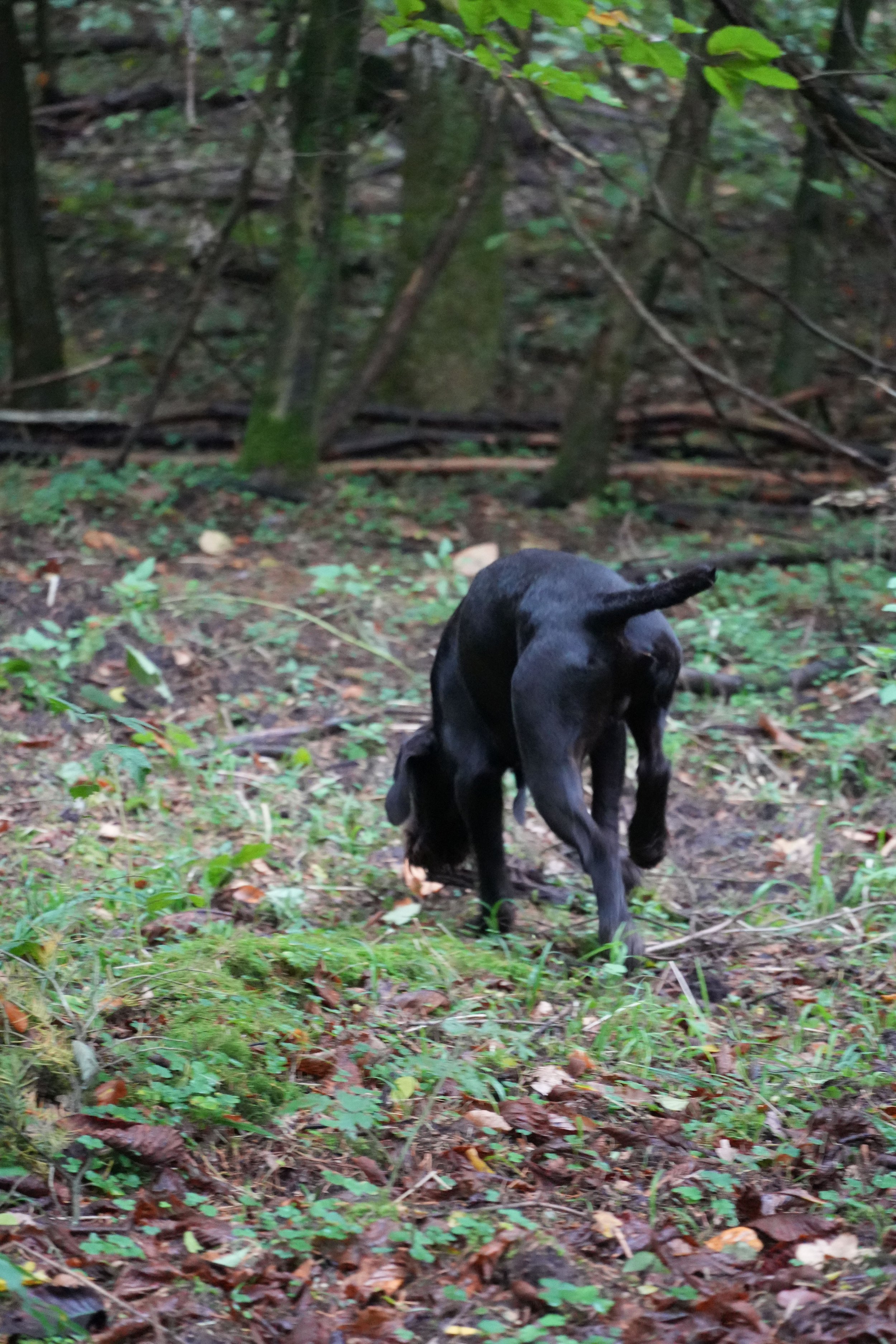 image7ii0274.jpg