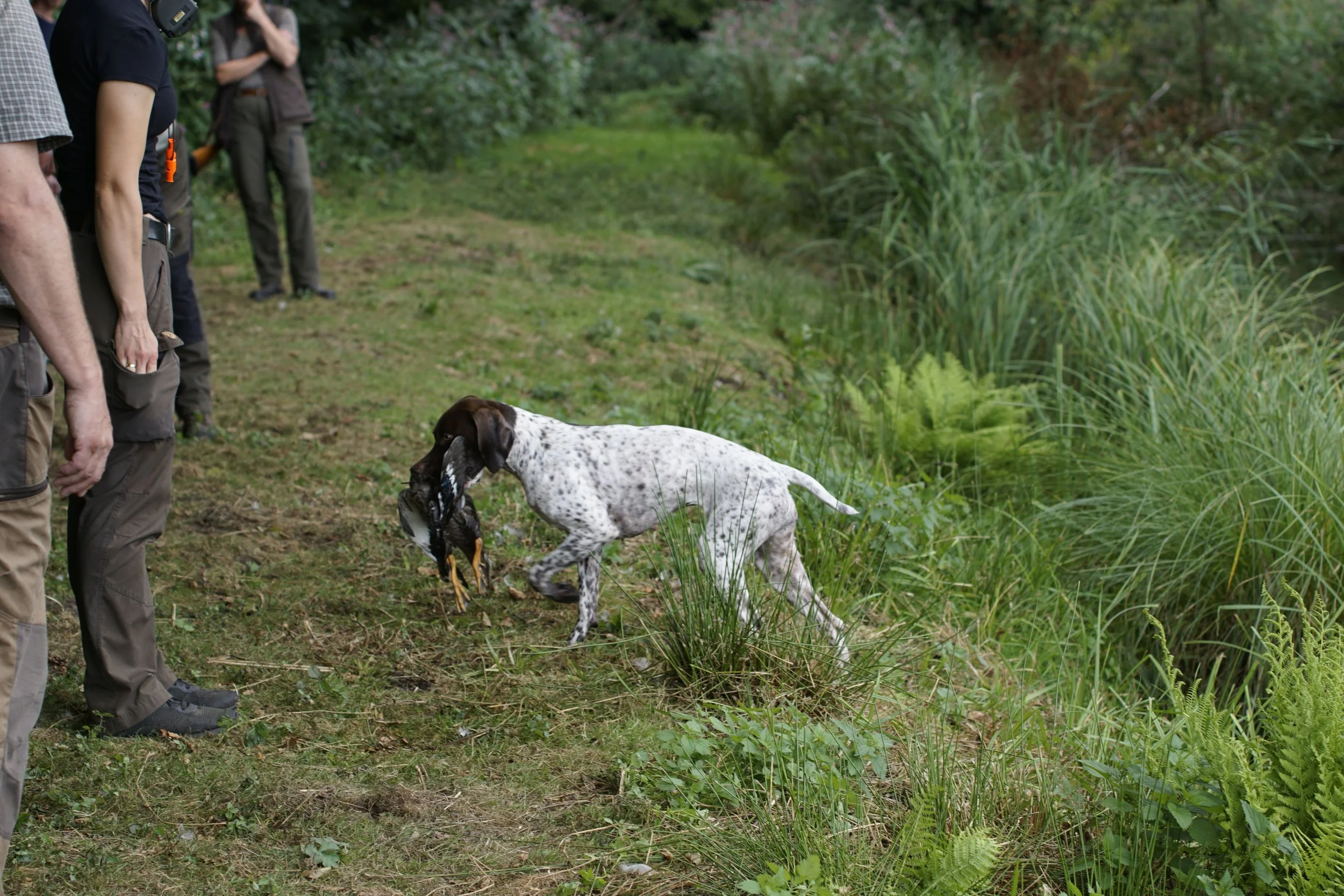 _DSC9696.JPG