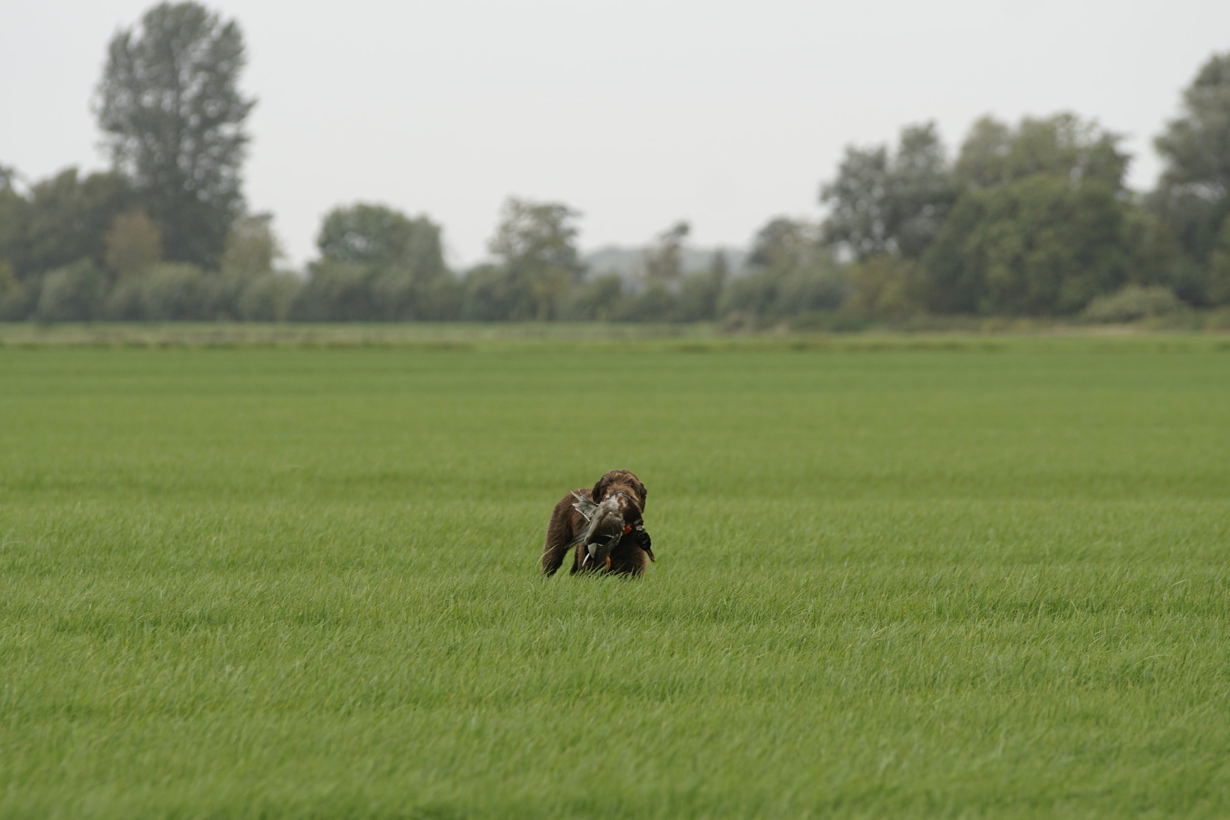 _DSC9486.JPG