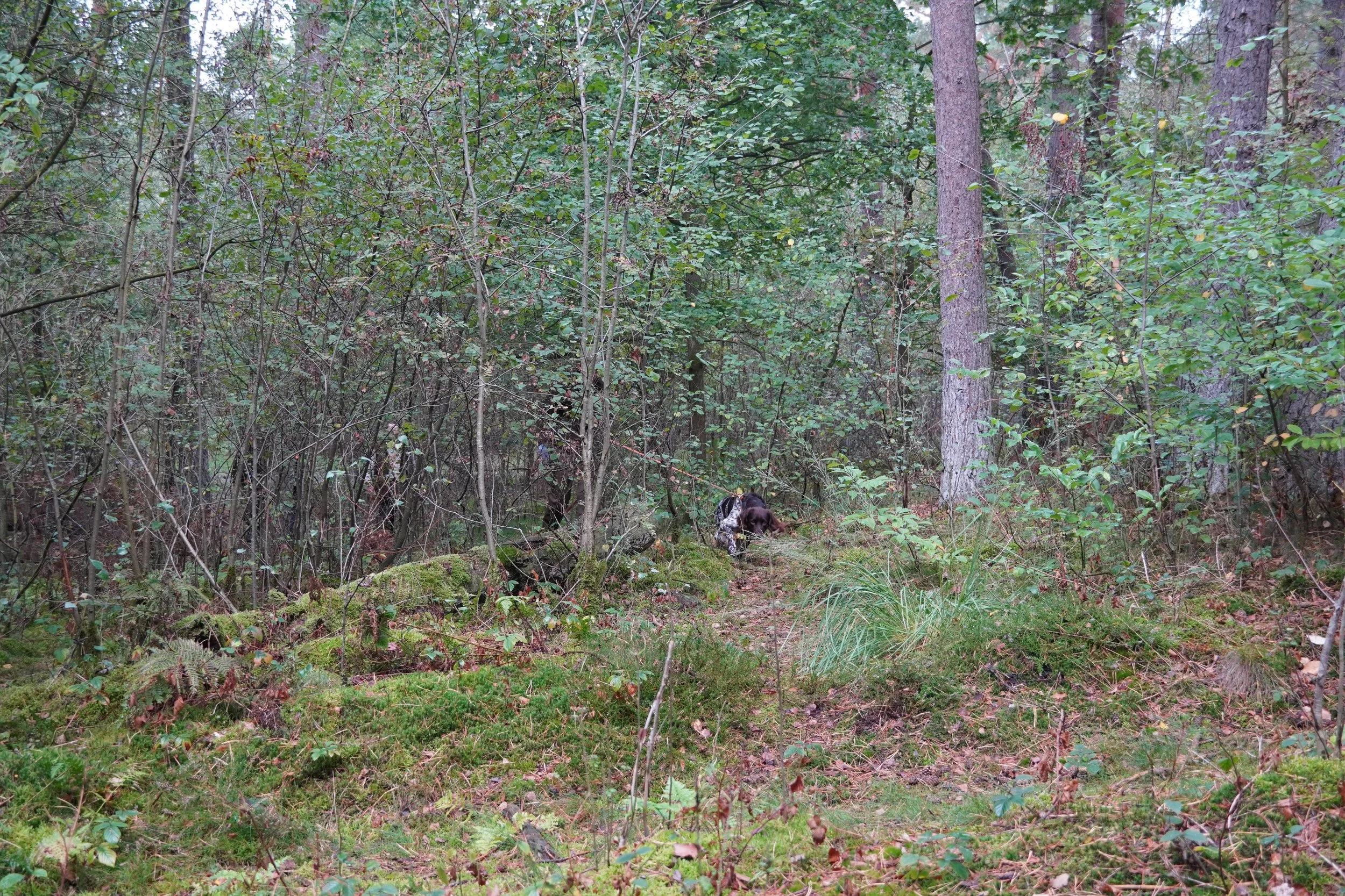 DSC01813.jpeg