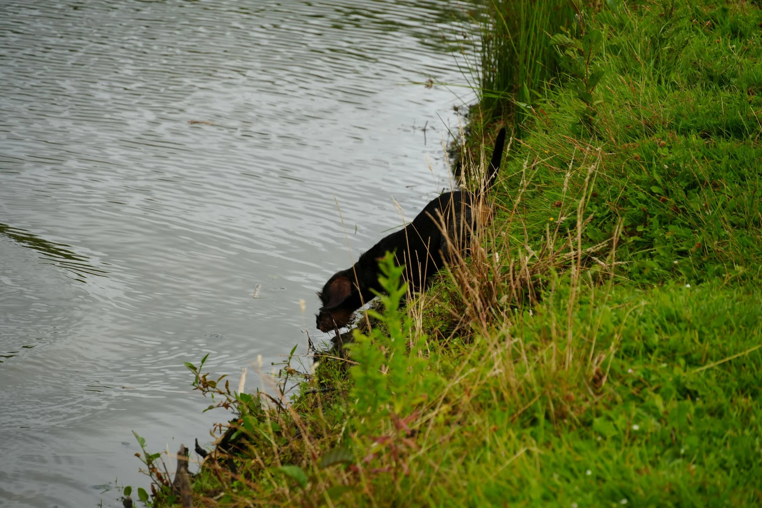 DSC08690.JPG