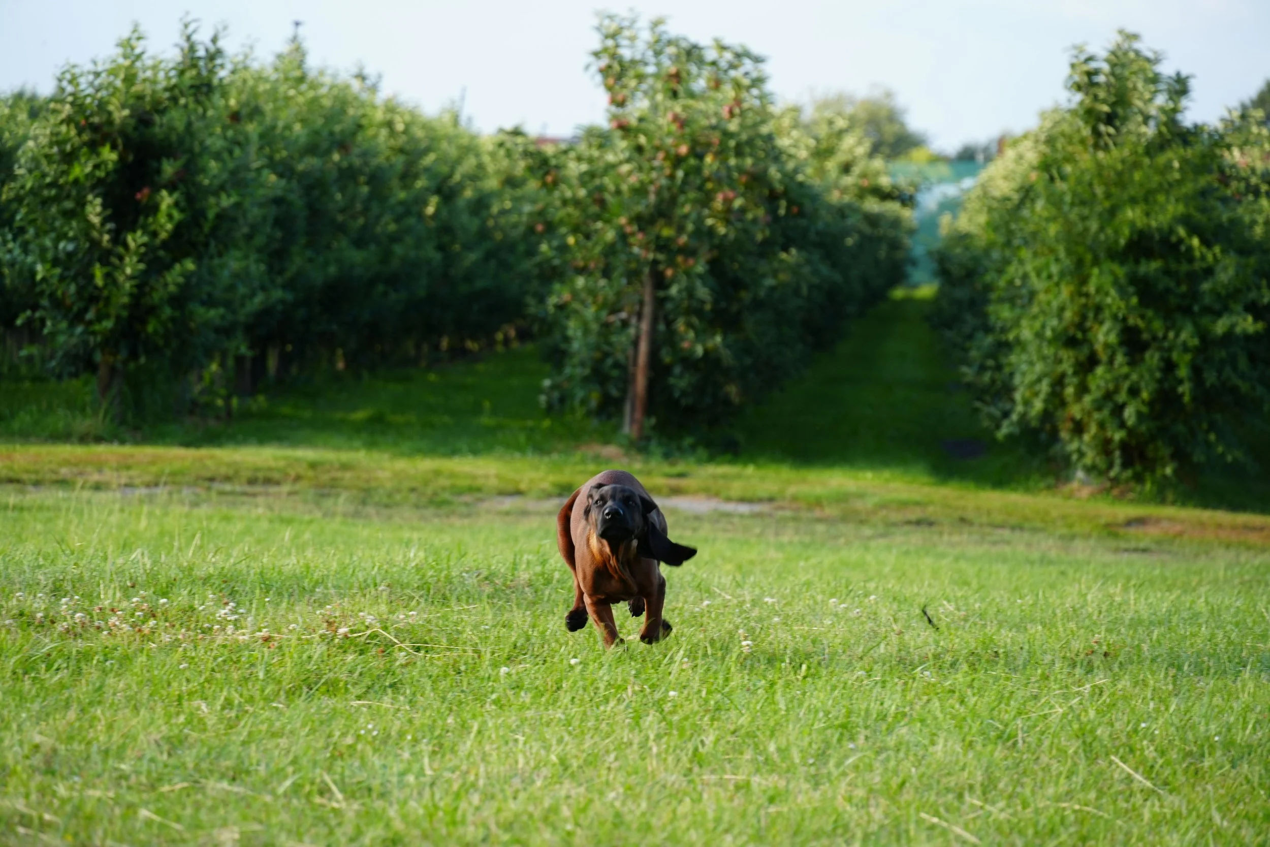 DSC09098.JPG