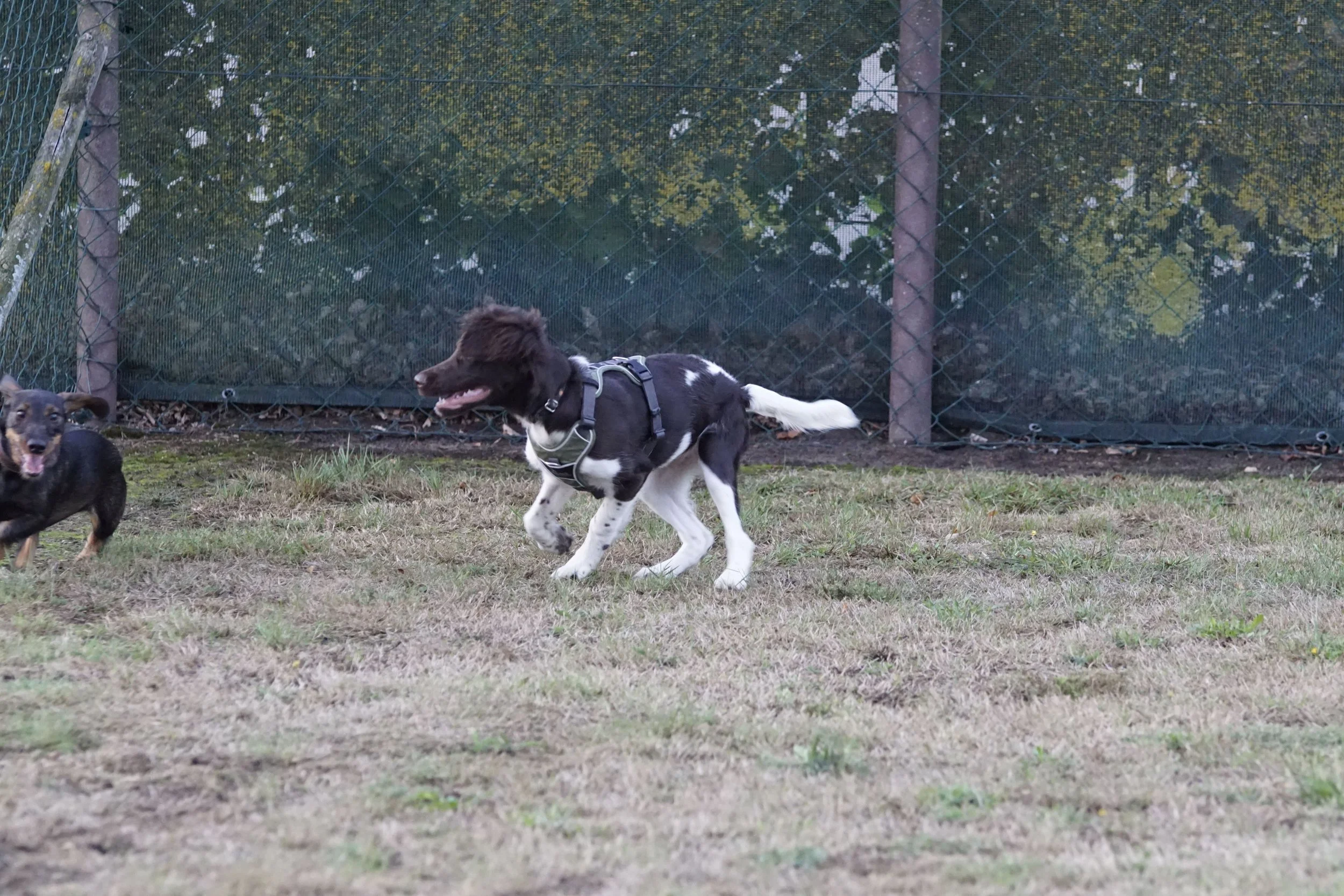 _DSC7347.JPG