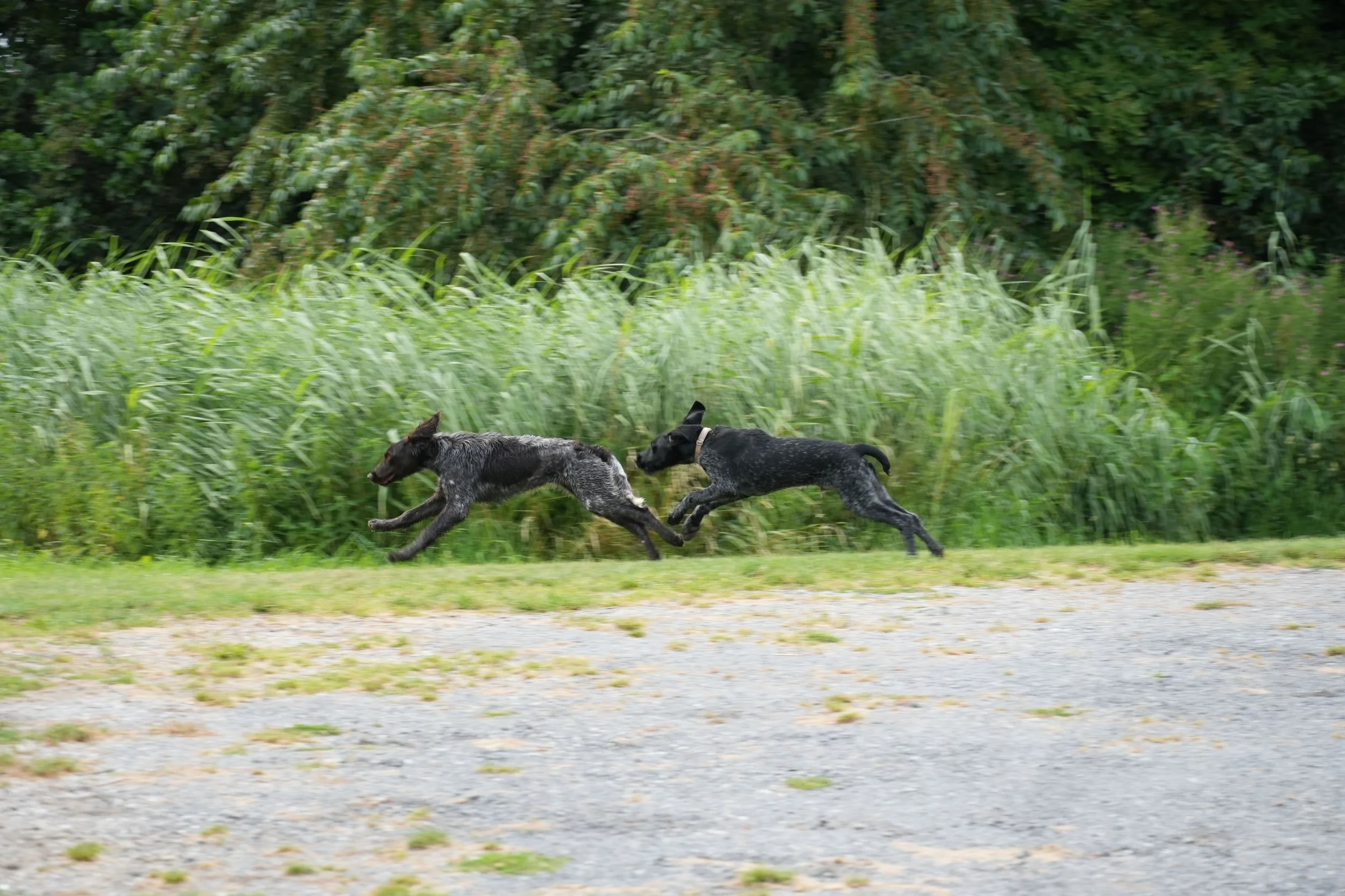 DSC08416.JPG