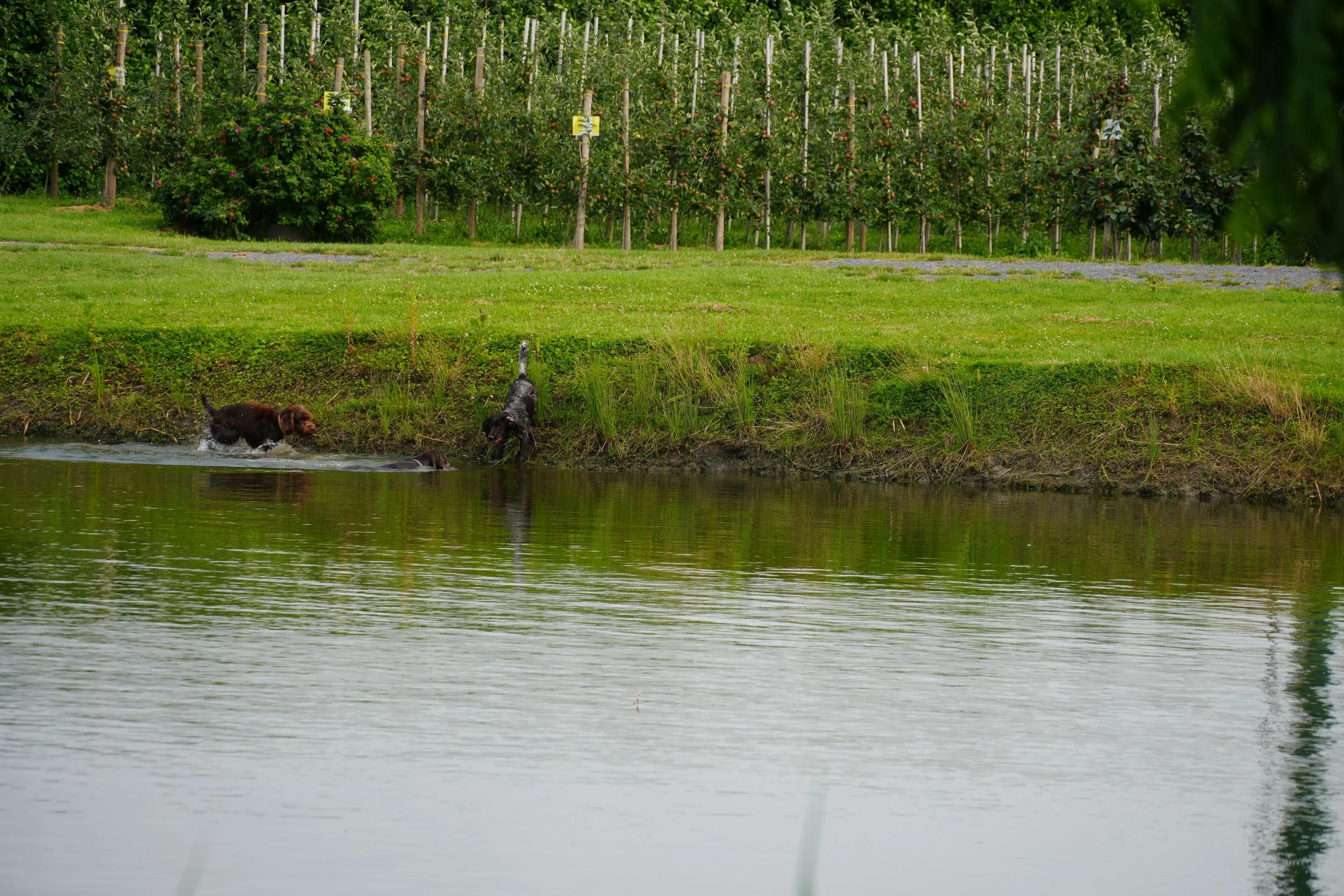 DSC08318.JPG
