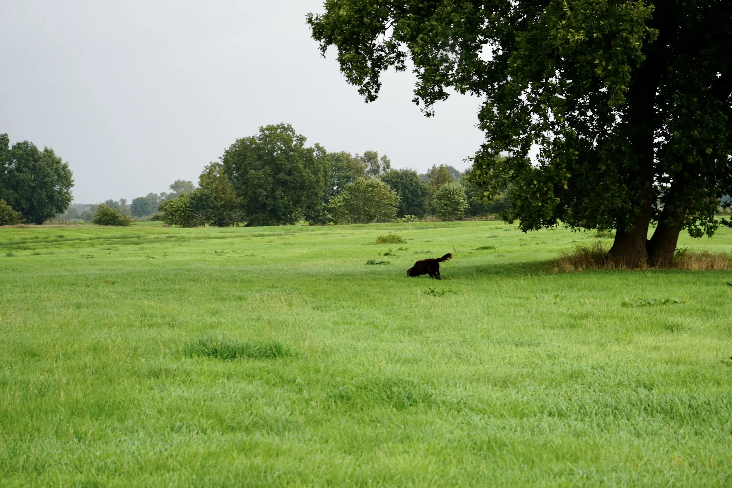 DSC01458.JPG