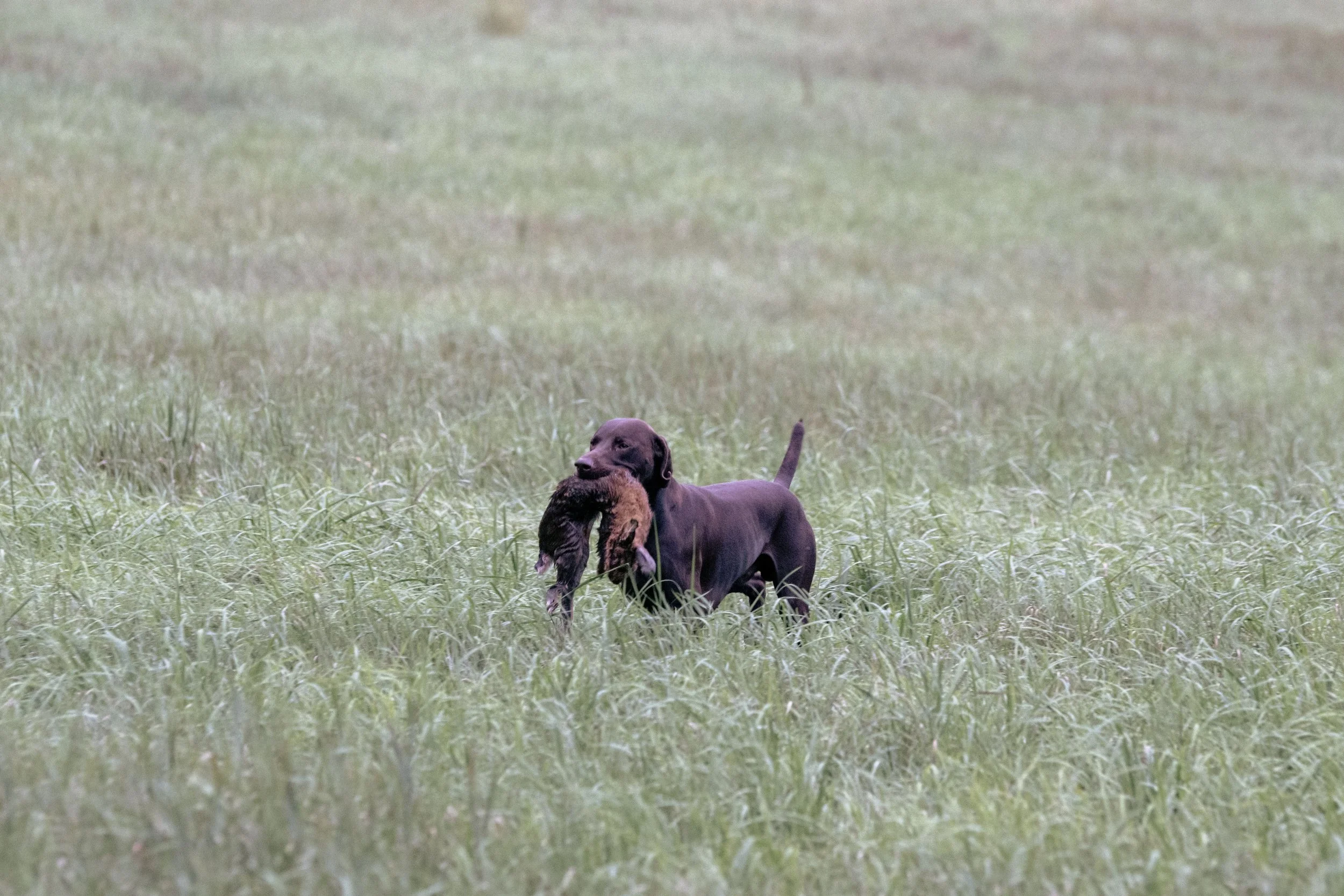20260911-_DSC8651.jpg