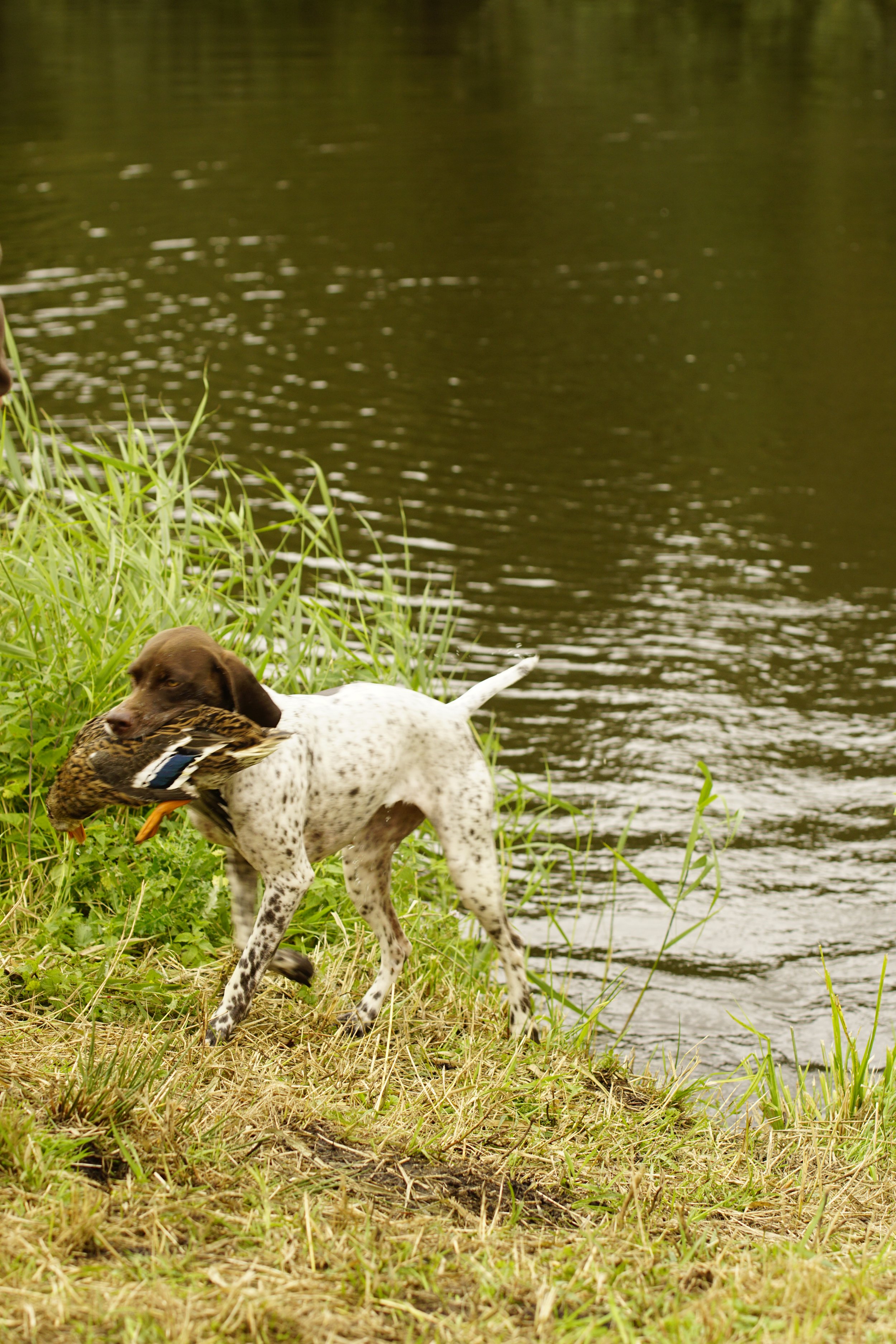 _DSC9008.JPG