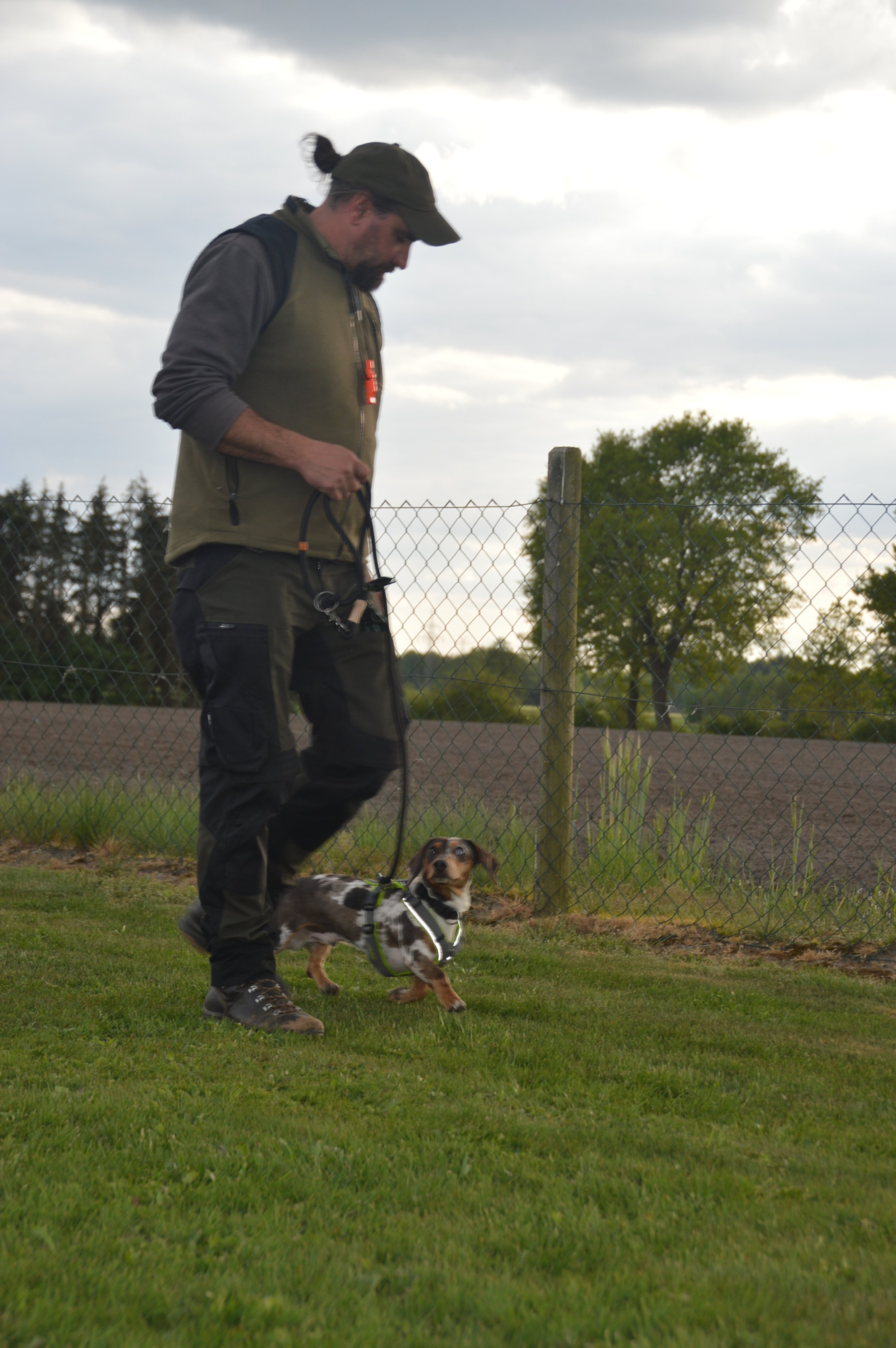 DSC_0147.JPG