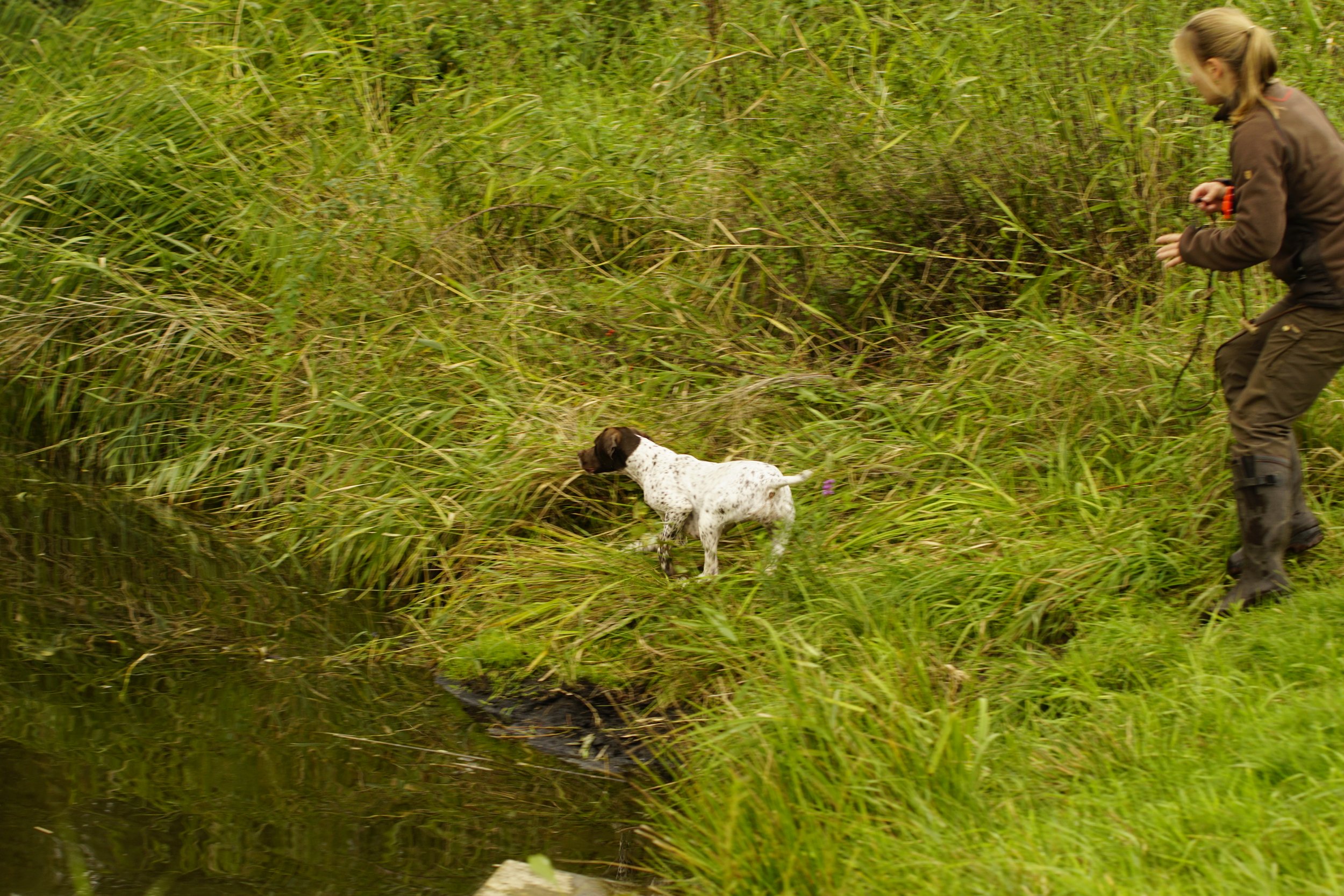 _DSC9025.JPG