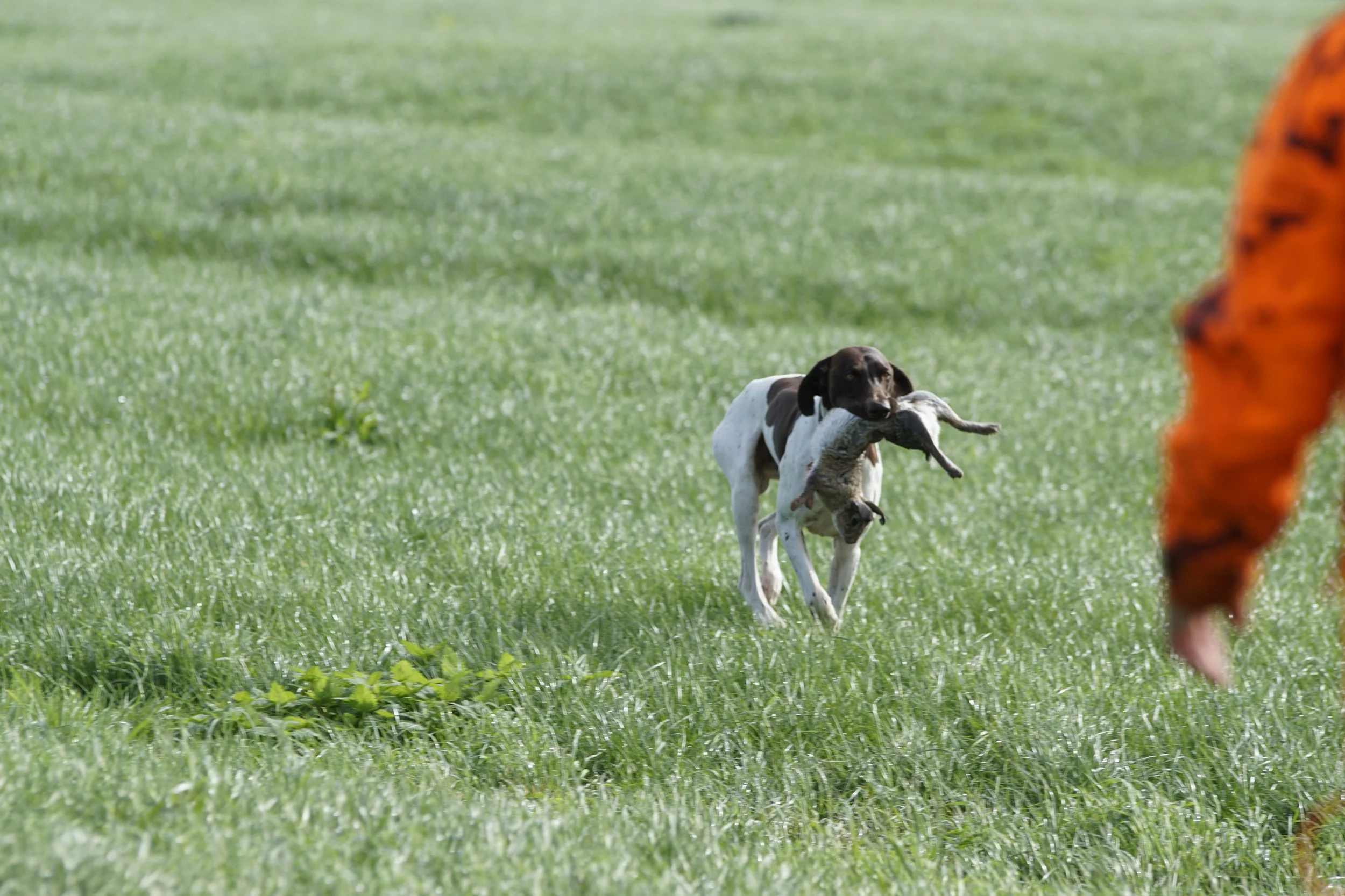 _DSC7658.JPG