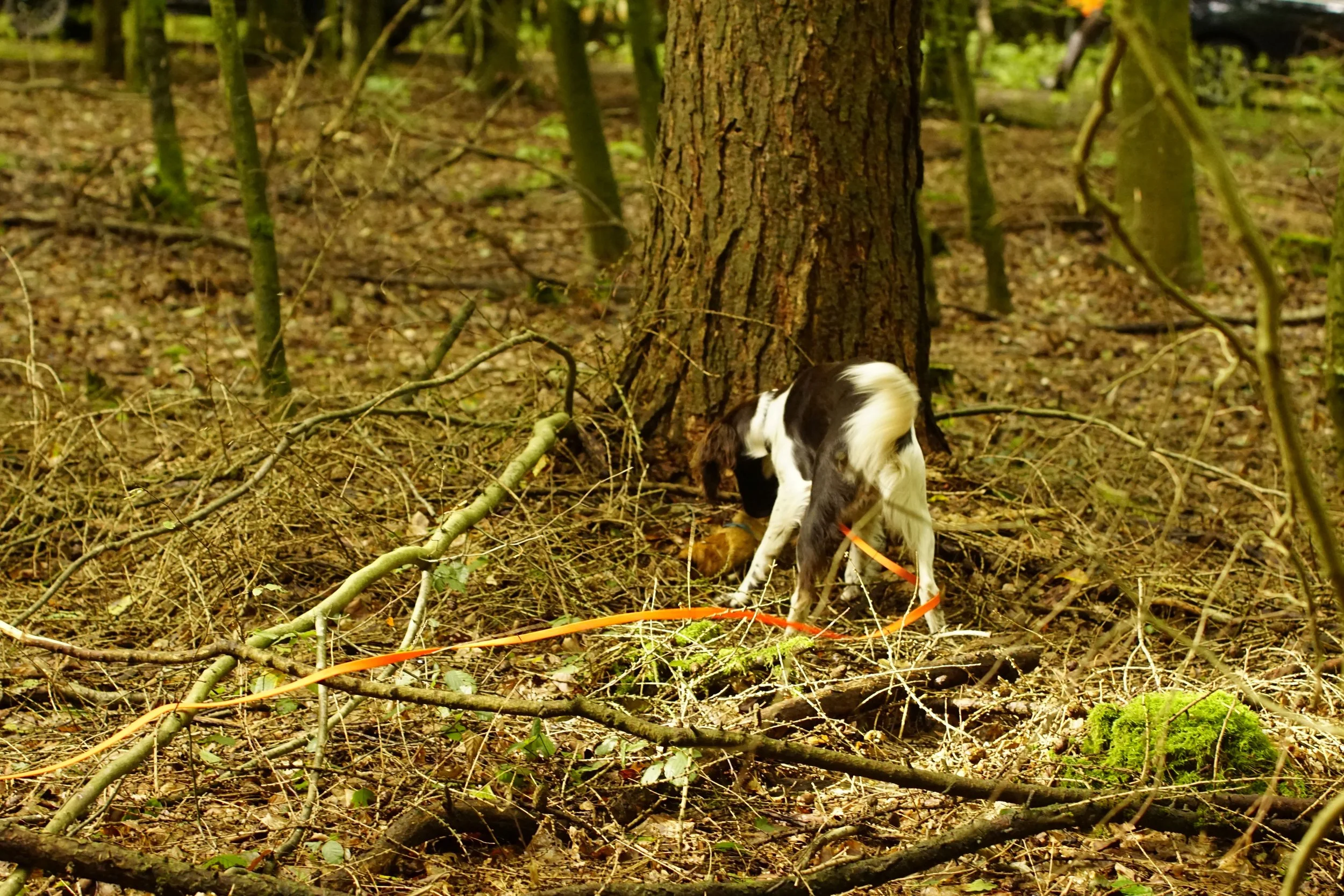 _DSC8407.JPG