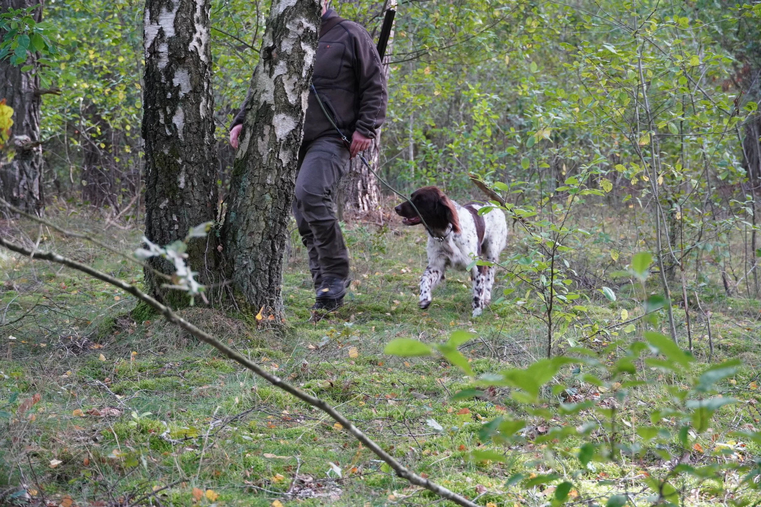 DSC02014.jpeg