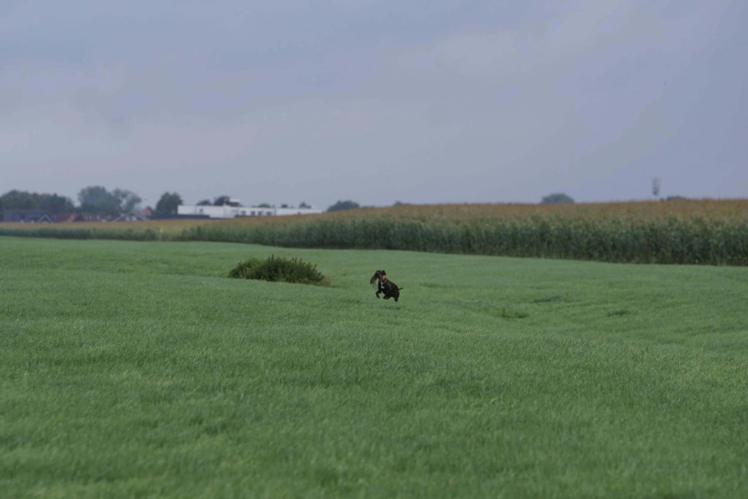 _DSC7593.JPG