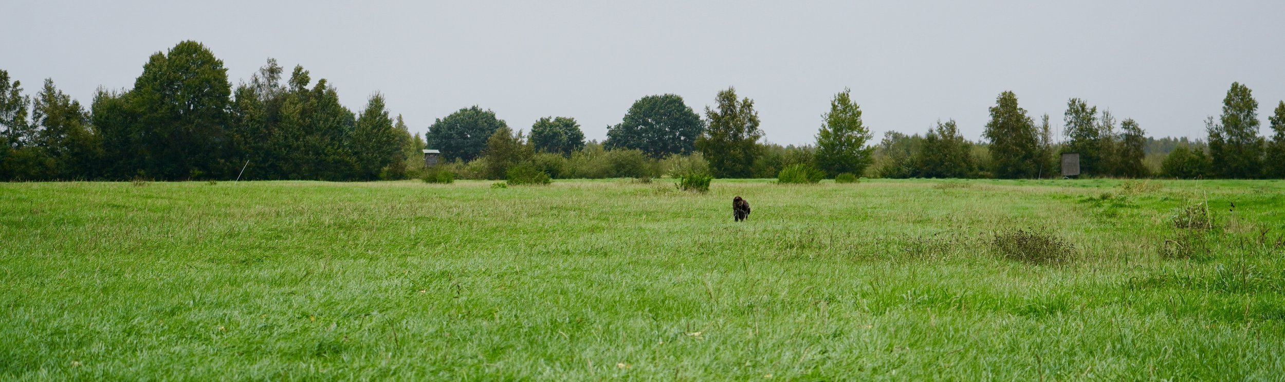 DSC01319.JPG