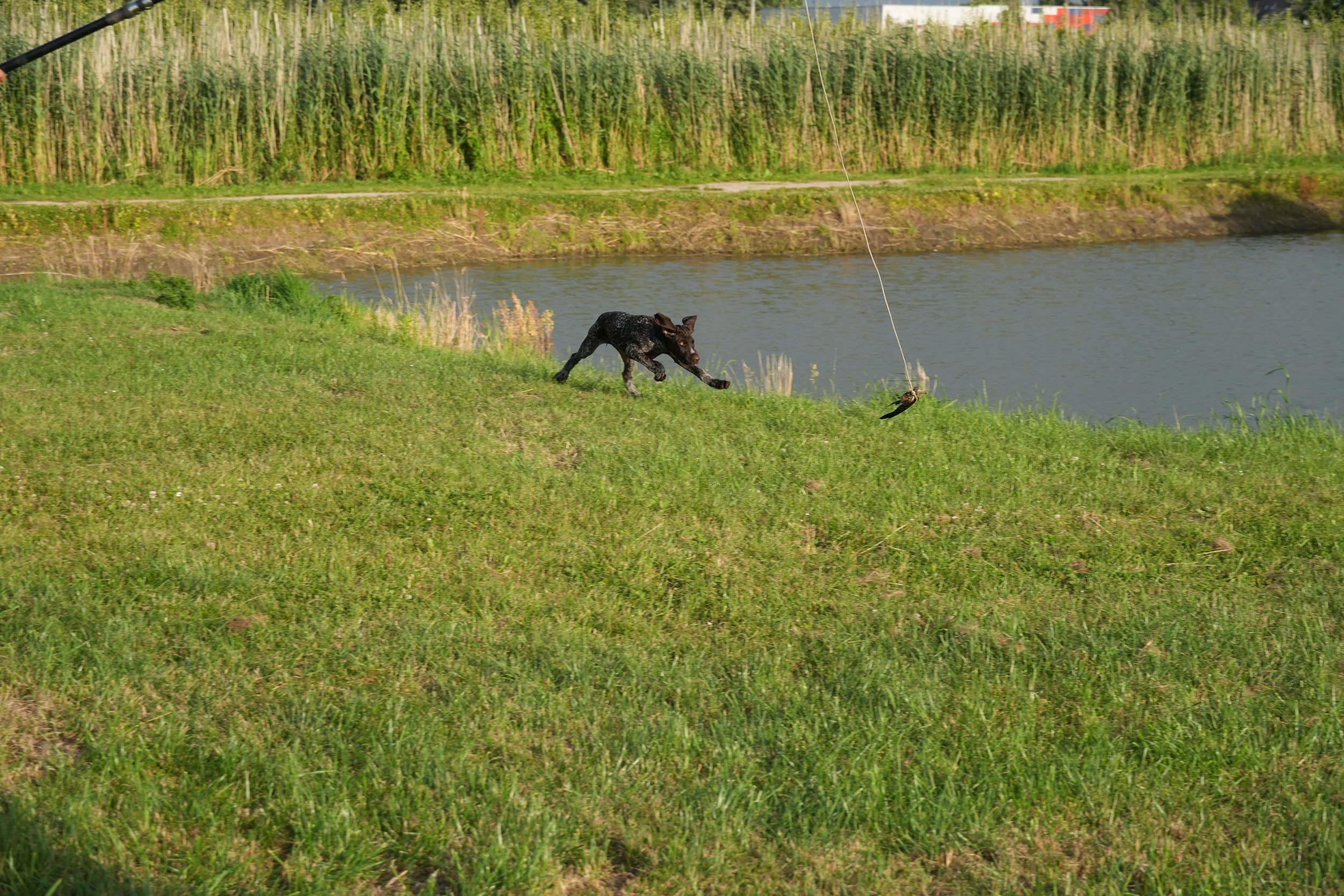 DSC08927.JPG