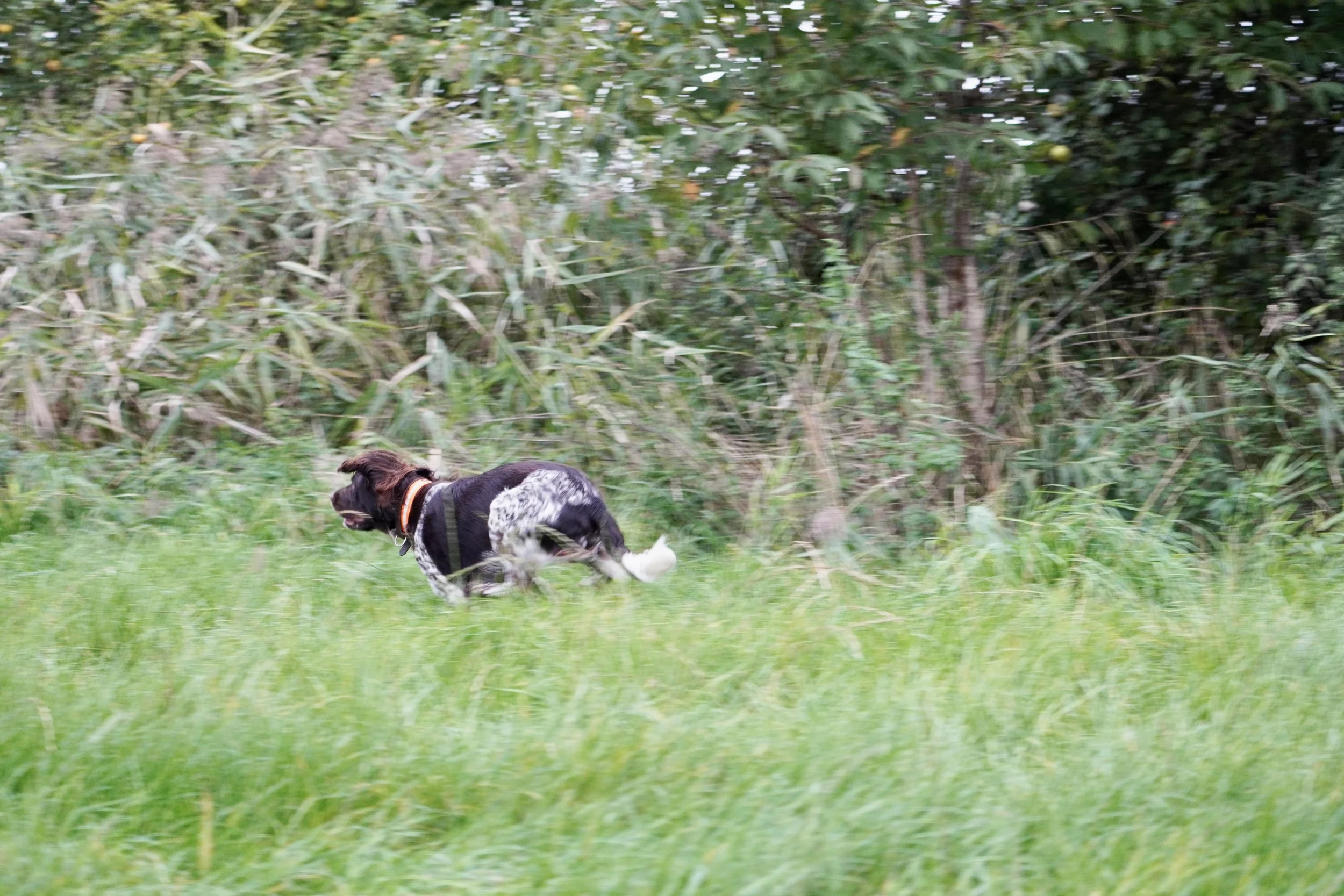 DSC01072.JPG